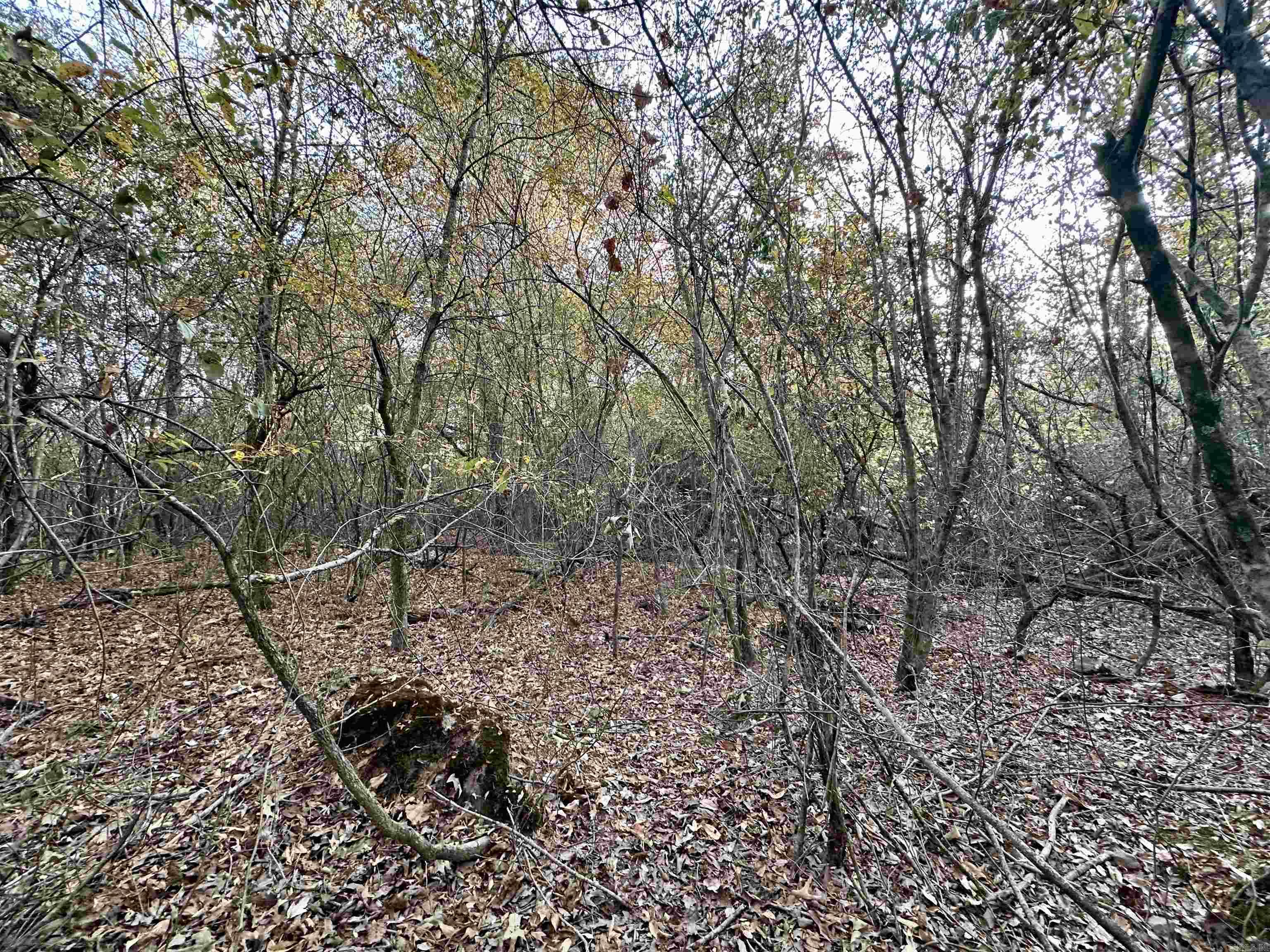 Westmoreland Heights - Land