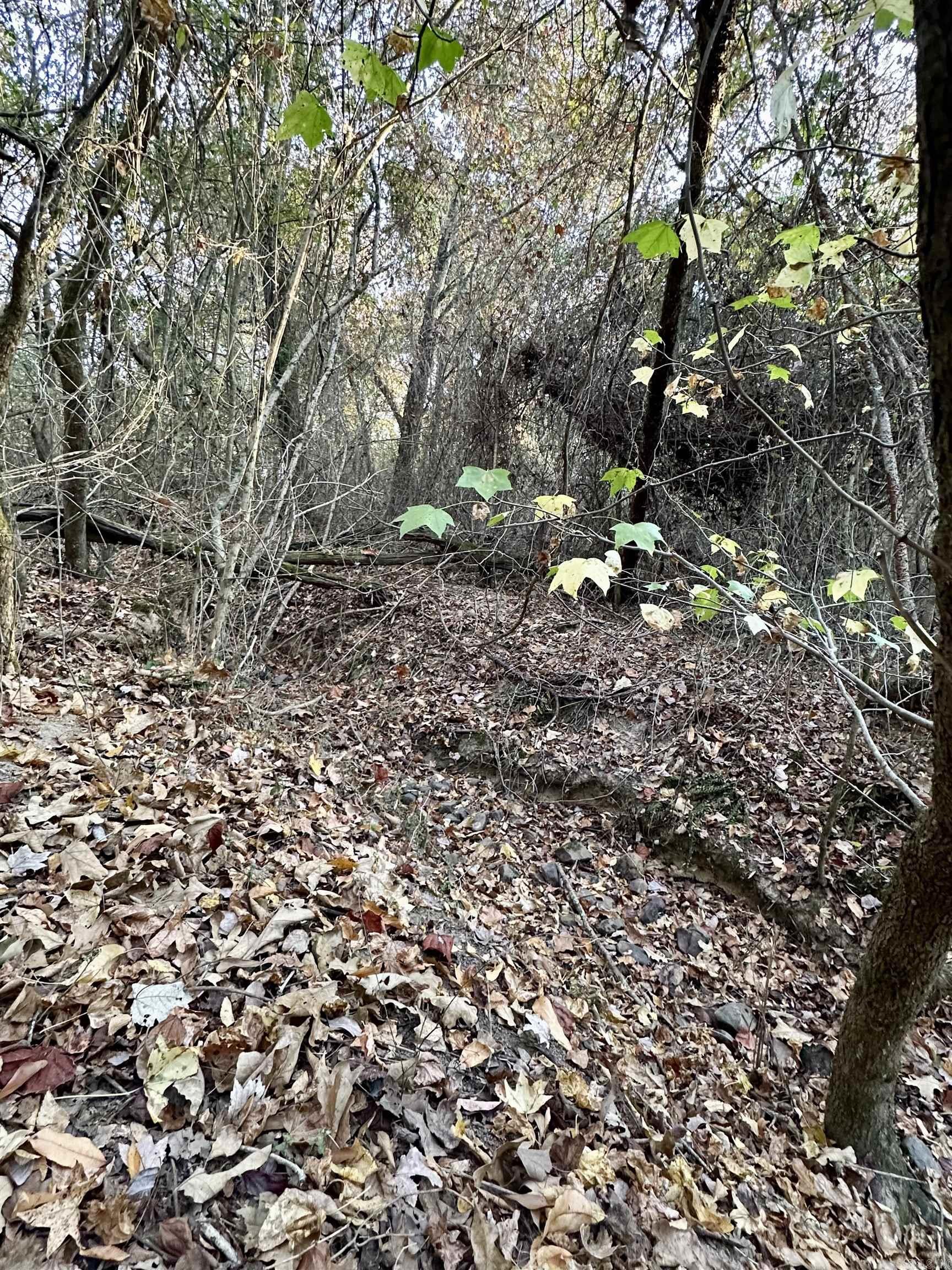 Westmoreland Heights - Land