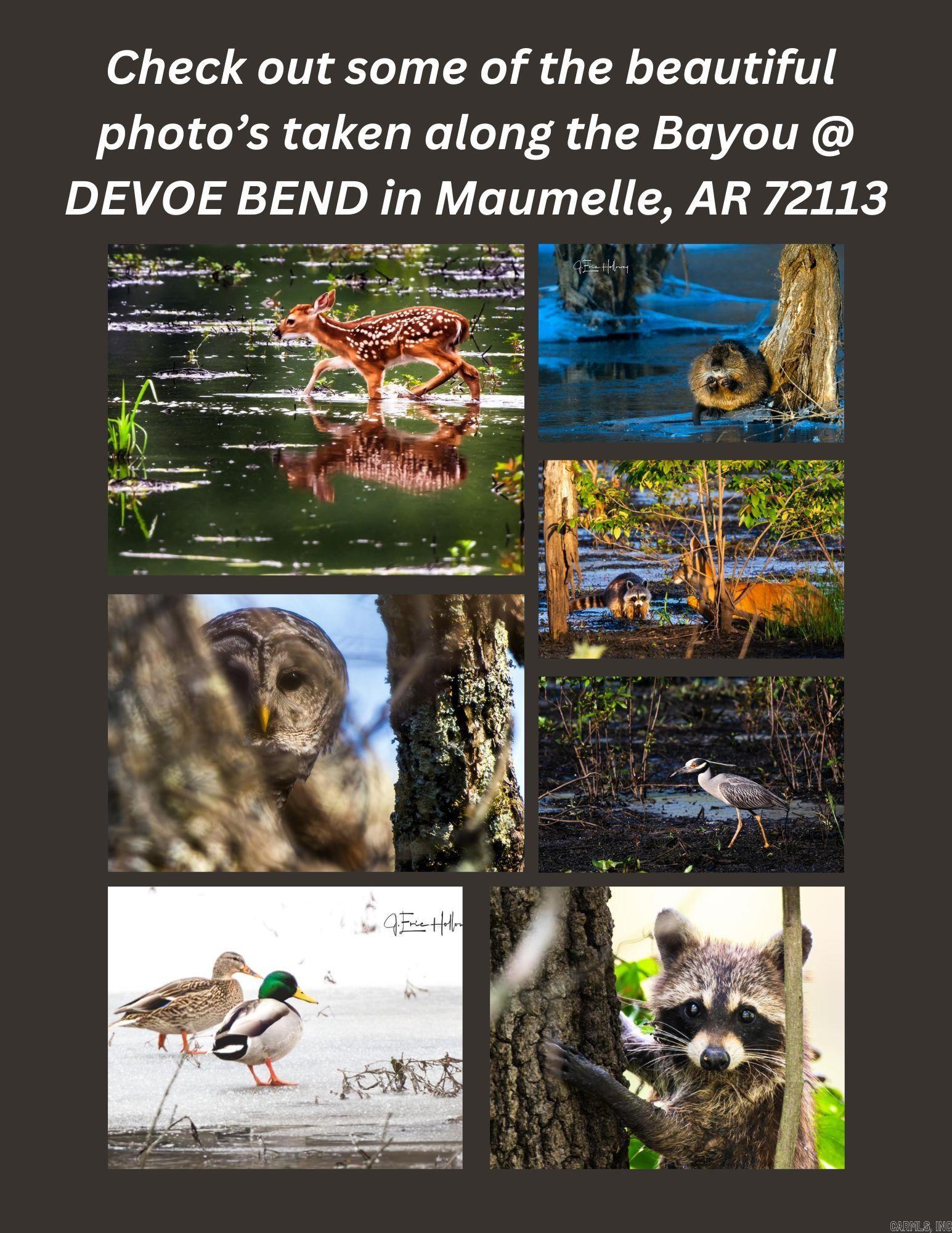 DEVOE BEND ADDITION - Land