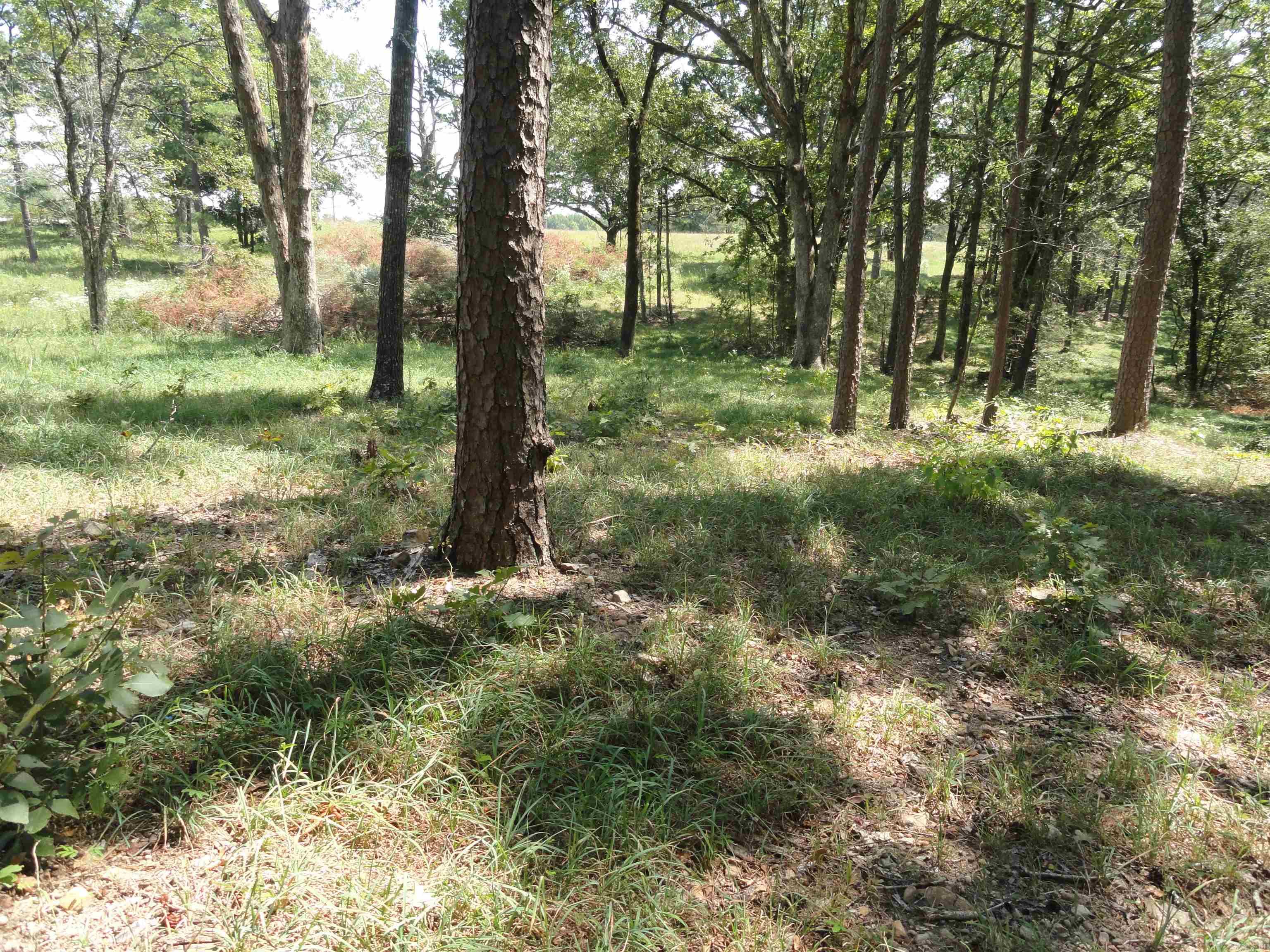 Metes & Bounds - Land