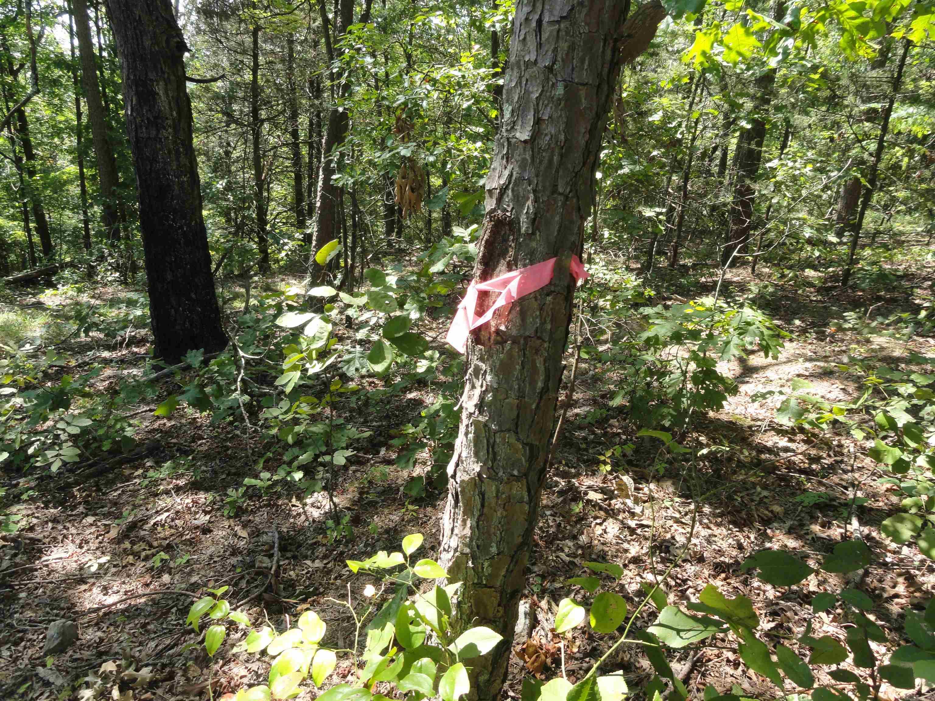 Metes & Bounds - Land