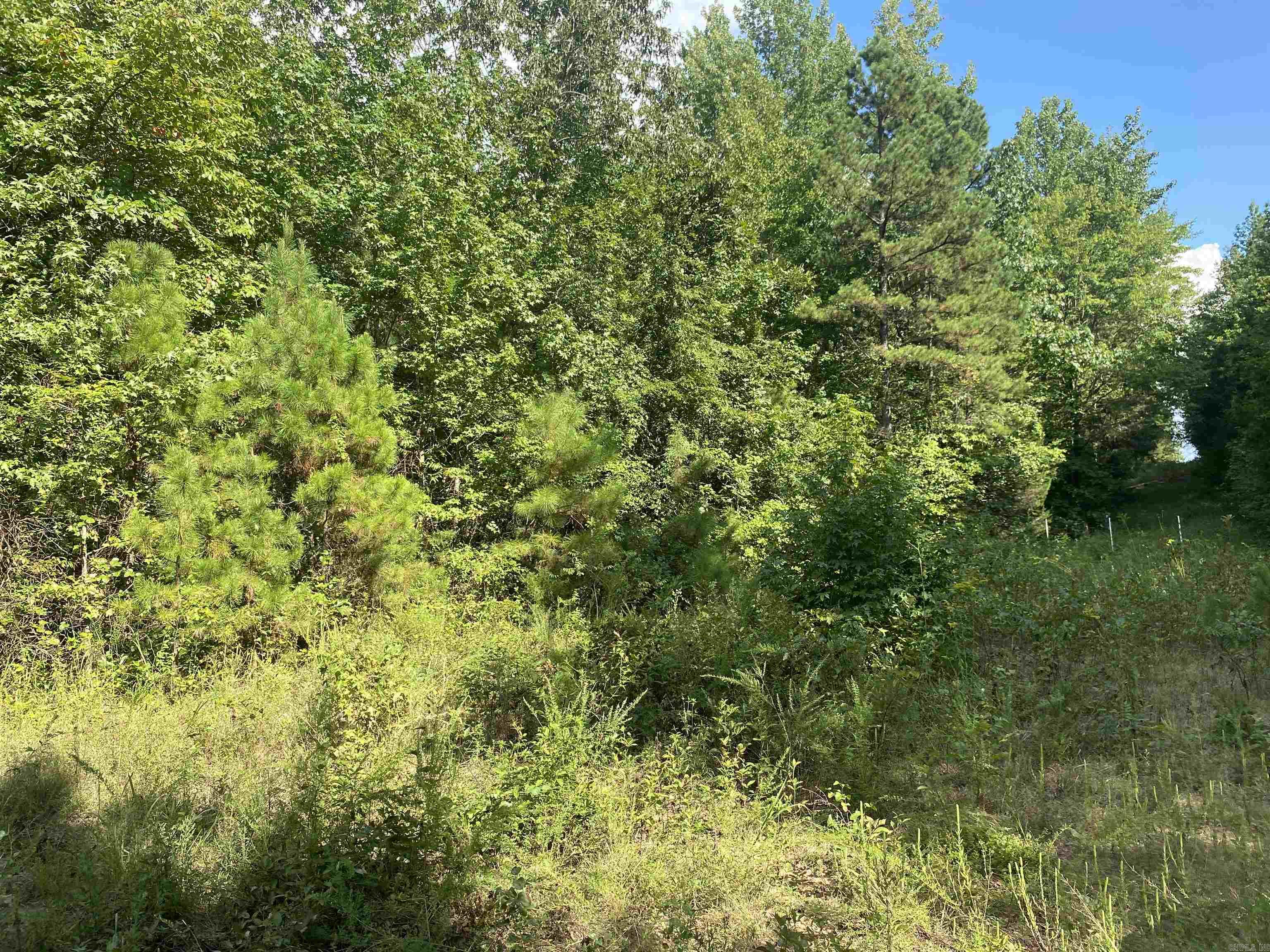Not in Subdivision - Land