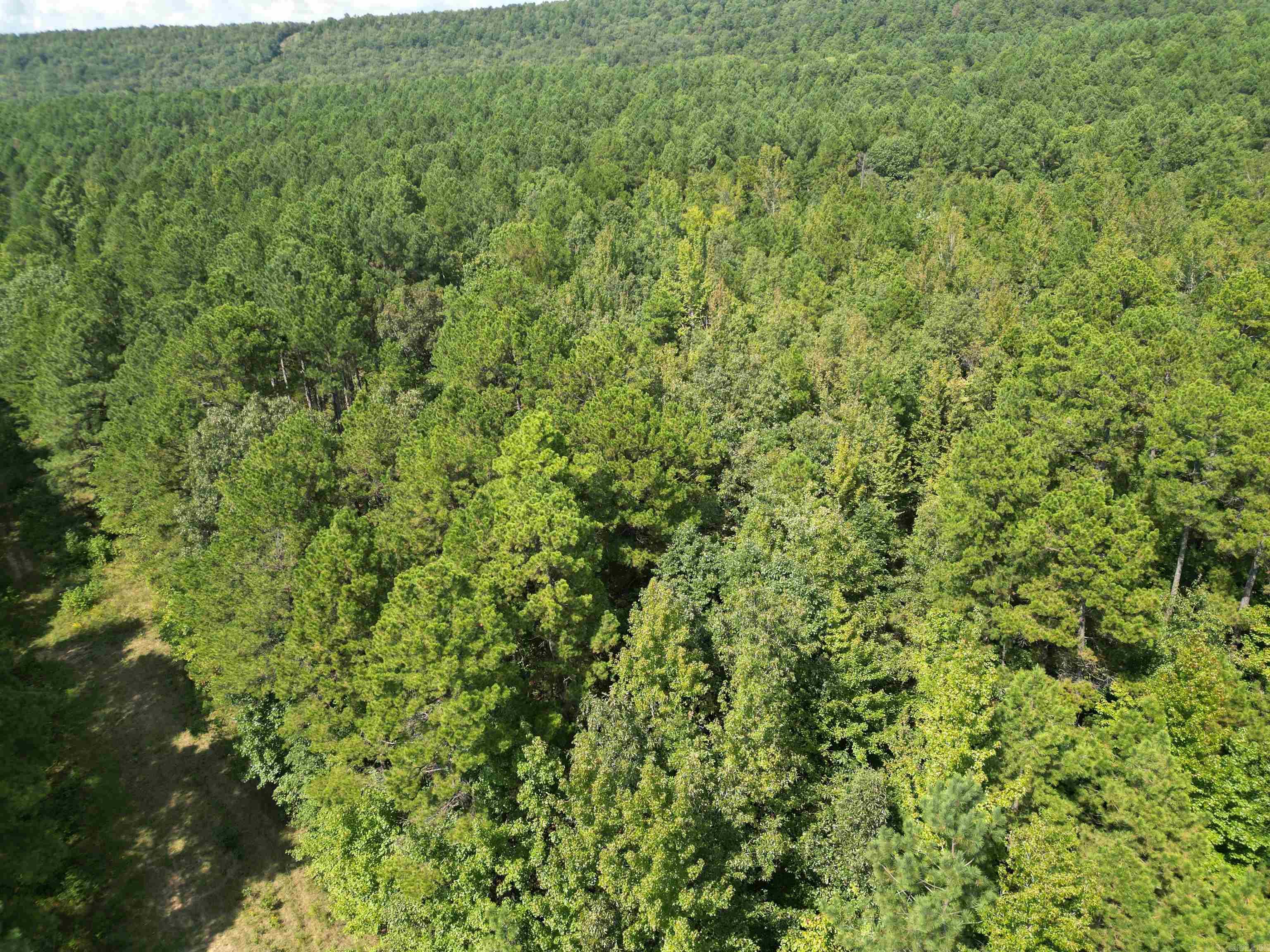 Escape to the quiet beauty of the Ozarks with this 10-acre property on Broomfield Road in Dover. Offering privacy and endless outdoor opportunities, this land borders the National Forest along both its north and west boundariesāgiving you direct access to thousands of acres for hunting, hiking, and exploring. With a mix of timber and open areas, itās a perfect setting for a weekend retreat, future cabin, or forever home. Enjoy the peace of country living while being just a short drive from town