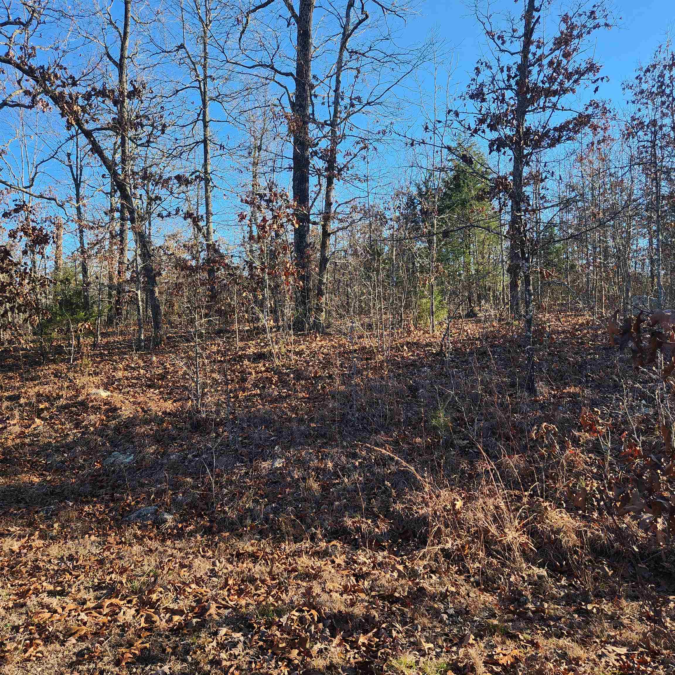 Here is one beautiful lot….. Secluded in the middle of the woods on the North side of Horseshoe Bend. This lot is in the undeveloped, wooded area of Horseshoe Bend. Enjoy nature at its finest. It is a great location for hunters and nature lovers as well, with Deer, Turkey, fox possibly even an elusive bear. If you are looking for a lot that is away from it all. Then you may want to get a look at this beauty. This Lot is mostly level which is also a rare find in these Ozark Foothills. Come take a look and choose a spot to build your retirement home, getaway cabin or forever home. It’s in the city limits but it is as private and secluded as anyone could ask for. Horseshoe Bend has 4 lakes and 2 golf courses along with many other amenities to enjoy.