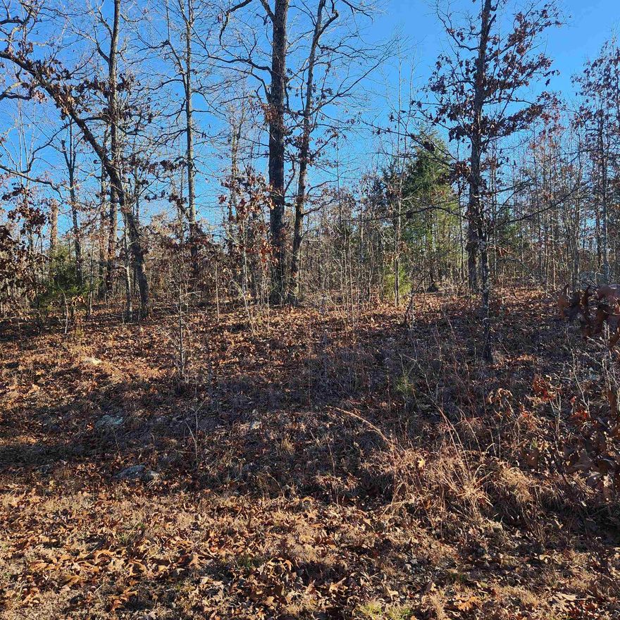 Here is one beautiful lot….. Secluded in the middle of the woods on the North side of Horseshoe Bend. This lot is in the undeveloped, wooded area of Horseshoe Bend. Enjoy nature at its finest. It is a great location for hunters and nature lovers as well, with Deer, Turkey, fox possibly even an elusive bear. If you are looking for a lot that is away from it all. Then you may want to get a look at this beauty. This Lot is mostly level which is also a rare find in these Ozark Foothills. Come take a look and choose a spot to build your retirement home, getaway cabin or forever home. It’s in the city limits but it is as private and secluded as anyone could ask for. Horseshoe Bend has 4 lakes and 2 golf courses along with many other amenities to enjoy.