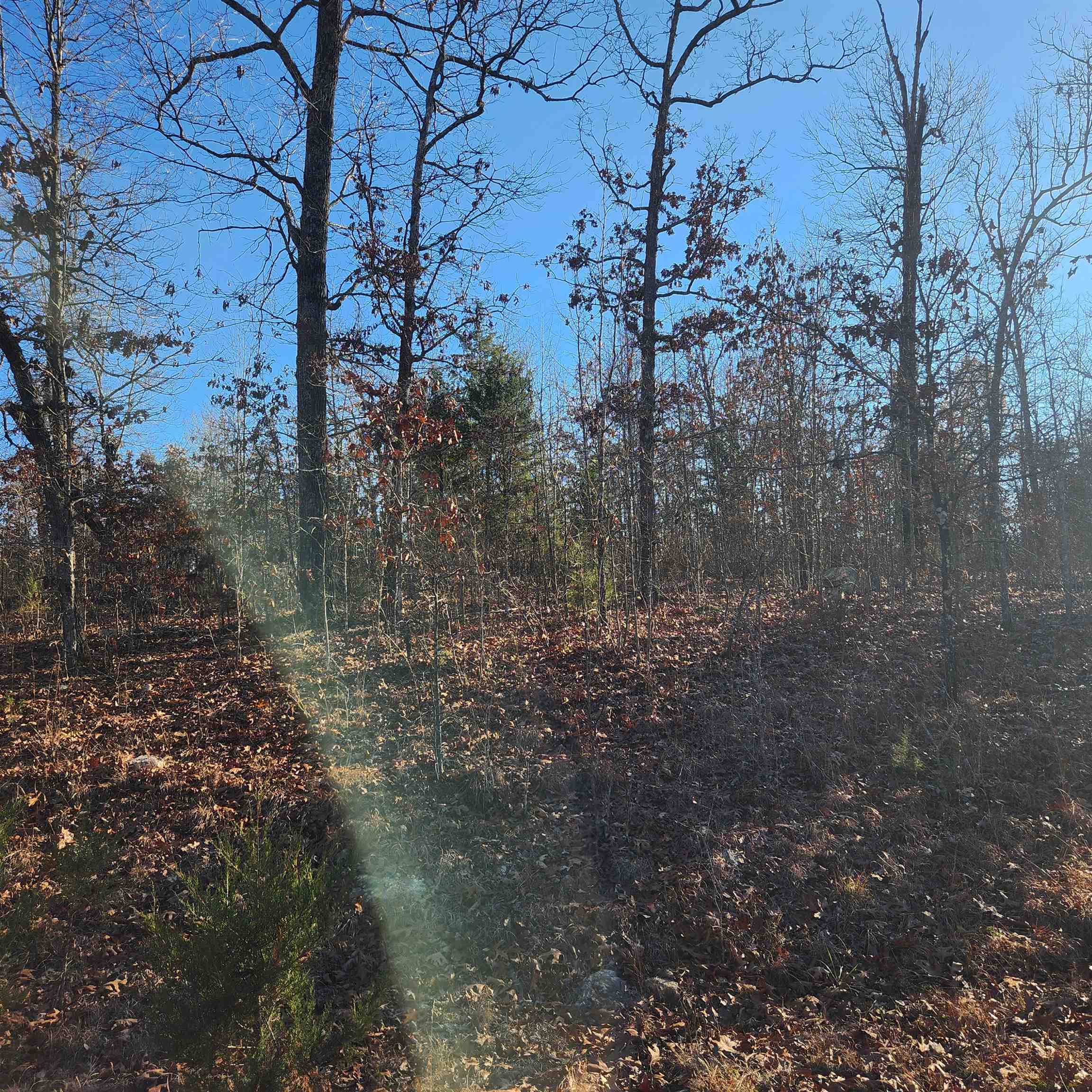 Forrest Heights - Land