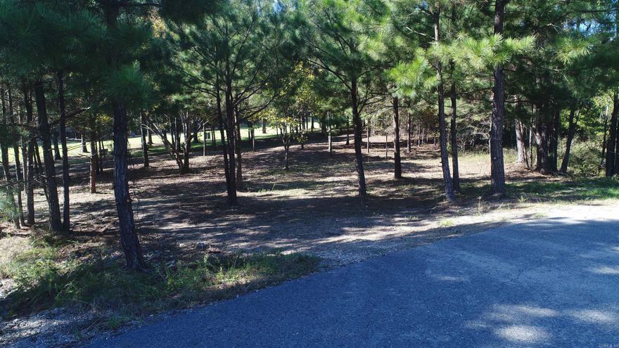 One of the last best lots in Diamante subdivision.  On the 18th fairway.  Over half an acre that is flat and the corners have been marked.  You can walk to the pool or tennis court from here.  New pickleball courts just installed within walking distance.  There is a new $300 buy in fee to new owners.  This is a gold membership lot.  Ask agent about dues and initiation fees.