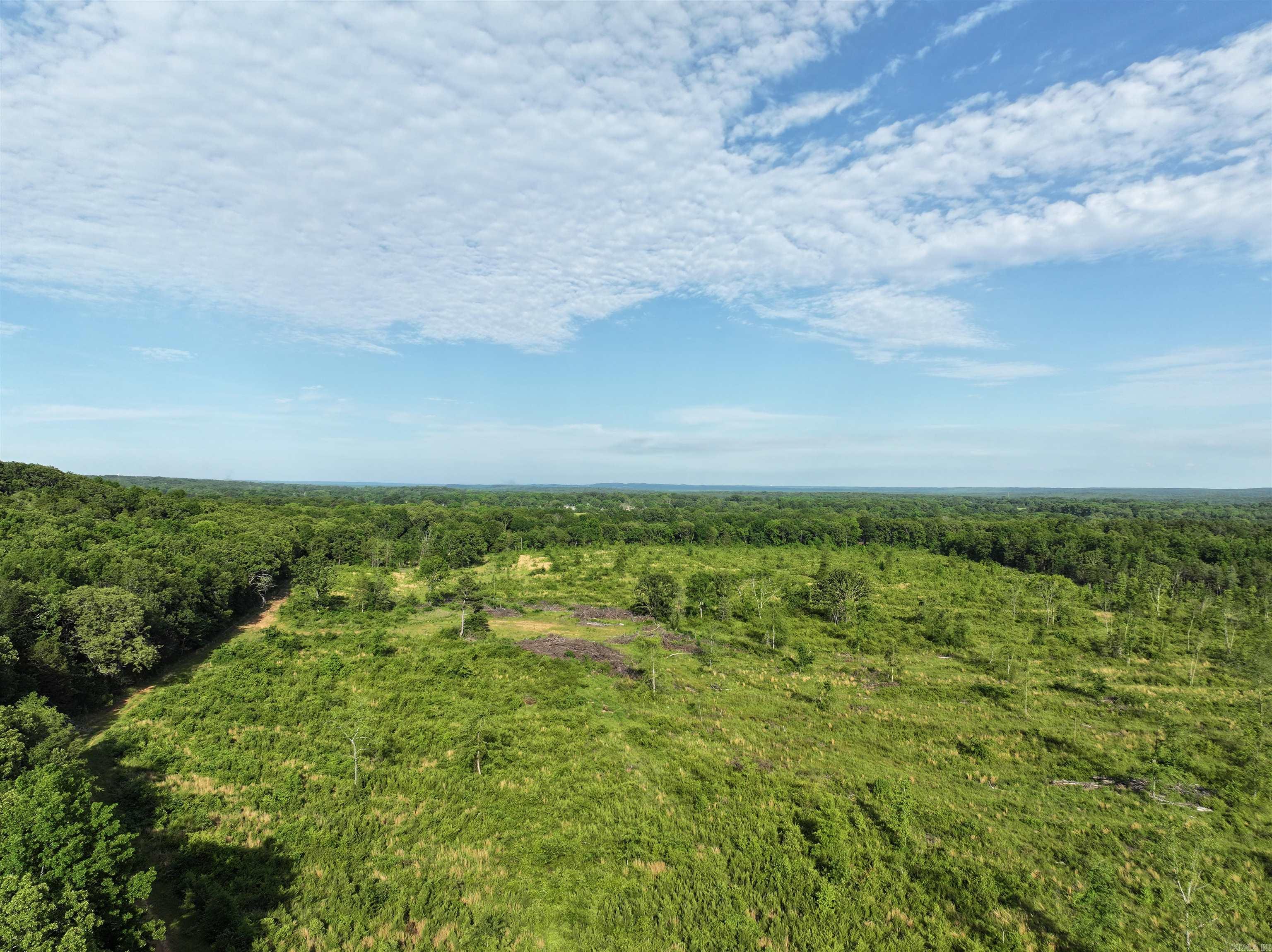 Discover the perfect blend of opportunity and natural beauty with this expansive tract of vacant land located in the highly sought-after Greenbrier School District. Whether you’re looking to build your dream home, develop a private retreat, or invest in future growth, this versatile property offers endless possibilities. A rare large parcel with a mix of open spaces, wooded areas, and gentle slopes, ideal for a variety of uses. Zoned for the Greenbrier School District, one of the most respected educational systems in central Arkansas. Power and water available at Brannon Road, simplifying the path to potential development. Just minutes from downtown Greenbrier and a short drive to Conway and Highway 65, offering easy access while maintaining privacy and seclusion. Enjoy the peace and quiet of the countryside with plenty of room for hiking, hunting, or simply relaxing in nature. Whether you’re a developer, investor, or someone looking for a private escape, this gem is a rare find in a growing and desirable area. Don’t miss your chance to own a piece of the Greenbrier countryside with exceptional potential. Agents, see remarks.