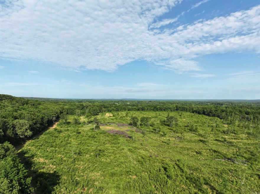 Discover the perfect blend of opportunity and natural beauty with this expansive tract of vacant land located in the highly sought-after Greenbrier School District. Whether you’re looking to build your dream home, develop a private retreat, or invest in future growth, this versatile property offers endless possibilities. A rare large parcel with a mix of open spaces, wooded areas, and gentle slopes, ideal for a variety of uses. Zoned for the Greenbrier School District, one of the most respected educational systems in central Arkansas. Power and water available at Brannon Road, simplifying the path to potential development. Just minutes from downtown Greenbrier and a short drive to Conway and Highway 65, offering easy access while maintaining privacy and seclusion. Enjoy the peace and quiet of the countryside with plenty of room for hiking, hunting, or simply relaxing in nature. Whether you’re a developer, investor, or someone looking for a private escape, this gem is a rare find in a growing and desirable area. Don’t miss your chance to own a piece of the Greenbrier countryside with exceptional potential.  Agents, see remarks.