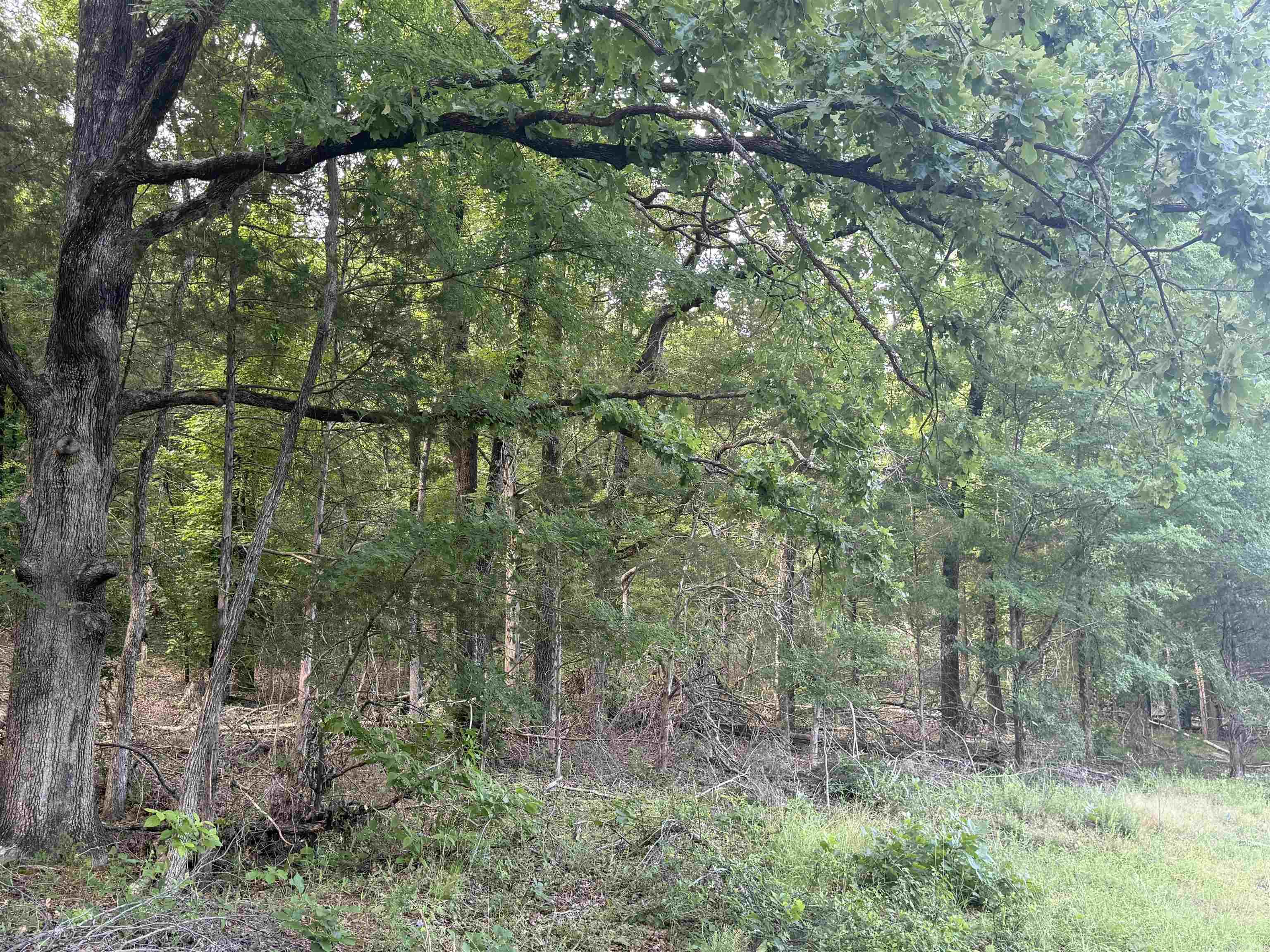 Not in Subdivision - Land