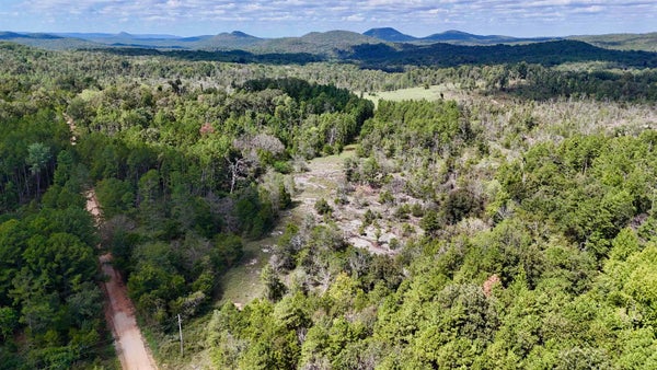 381 PREACHER RD, MELBOURNE, AR 72556 - Image e3e2c253a1e50c5dd63e022716700ba2/320267332