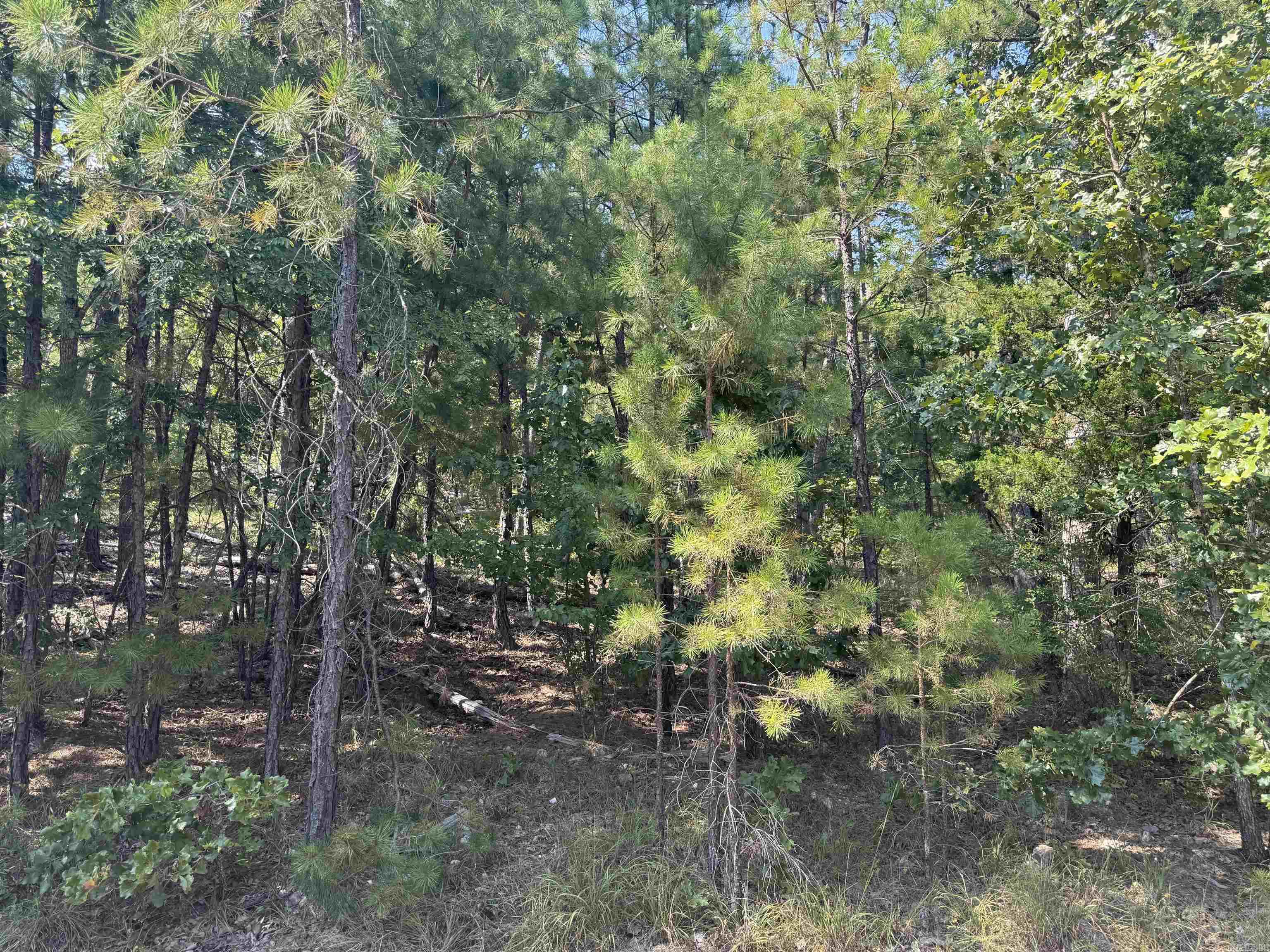 Wooded lot near Balboa Golf Course in Hot Springs Village! Located in a quiet area just down the road from the Balboa Golf Clubhouse, this property offers easy access to golf, dining, and village amenities. Paved roads and utilities (water, sewer, electric) are already in place, making it ready for your custom home. Enjoy the natural beauty and privacy of a wooded setting while being close to lakes, trails, and multiple golf courses. Perfect for building your dream home or a vacation getaway in Americaās largest gated community.