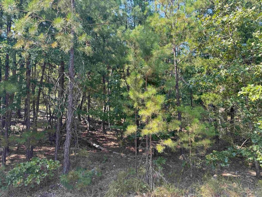 Wooded lot near Balboa Golf Course in Hot Springs Village! Located in a quiet area just down the road from the Balboa Golf Clubhouse, this property offers easy access to golf, dining, and village amenities. Paved roads and utilities (water, sewer, electric) are already in place, making it ready for your custom home. Enjoy the natural beauty and privacy of a wooded setting while being close to lakes, trails, and multiple golf courses. Perfect for building your dream home or a vacation getaway in America’s largest gated community.
