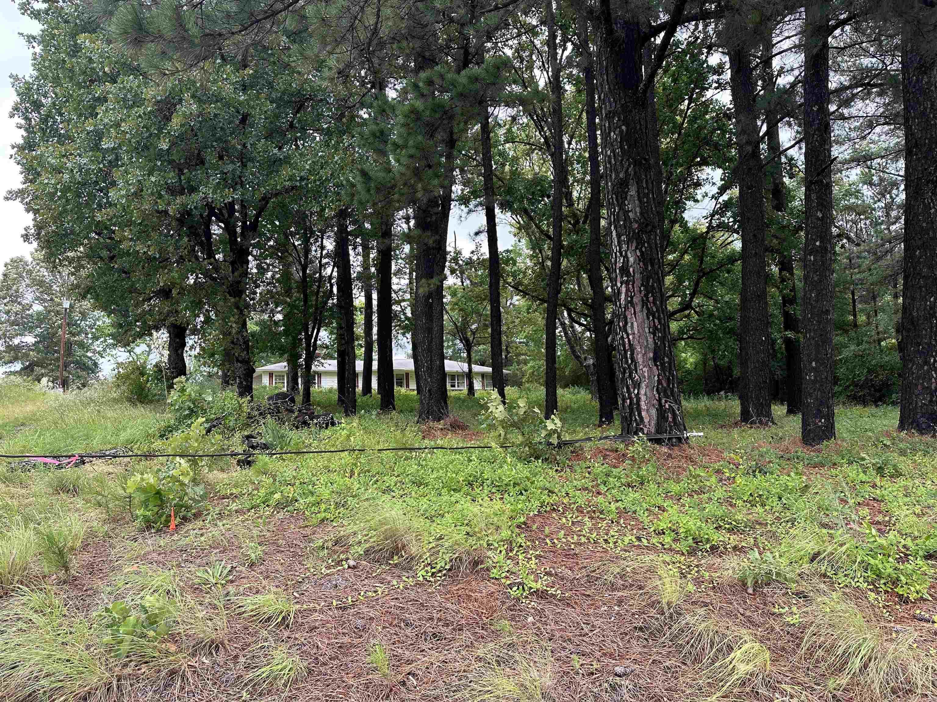 Searcy Outlots - Commercial Sale