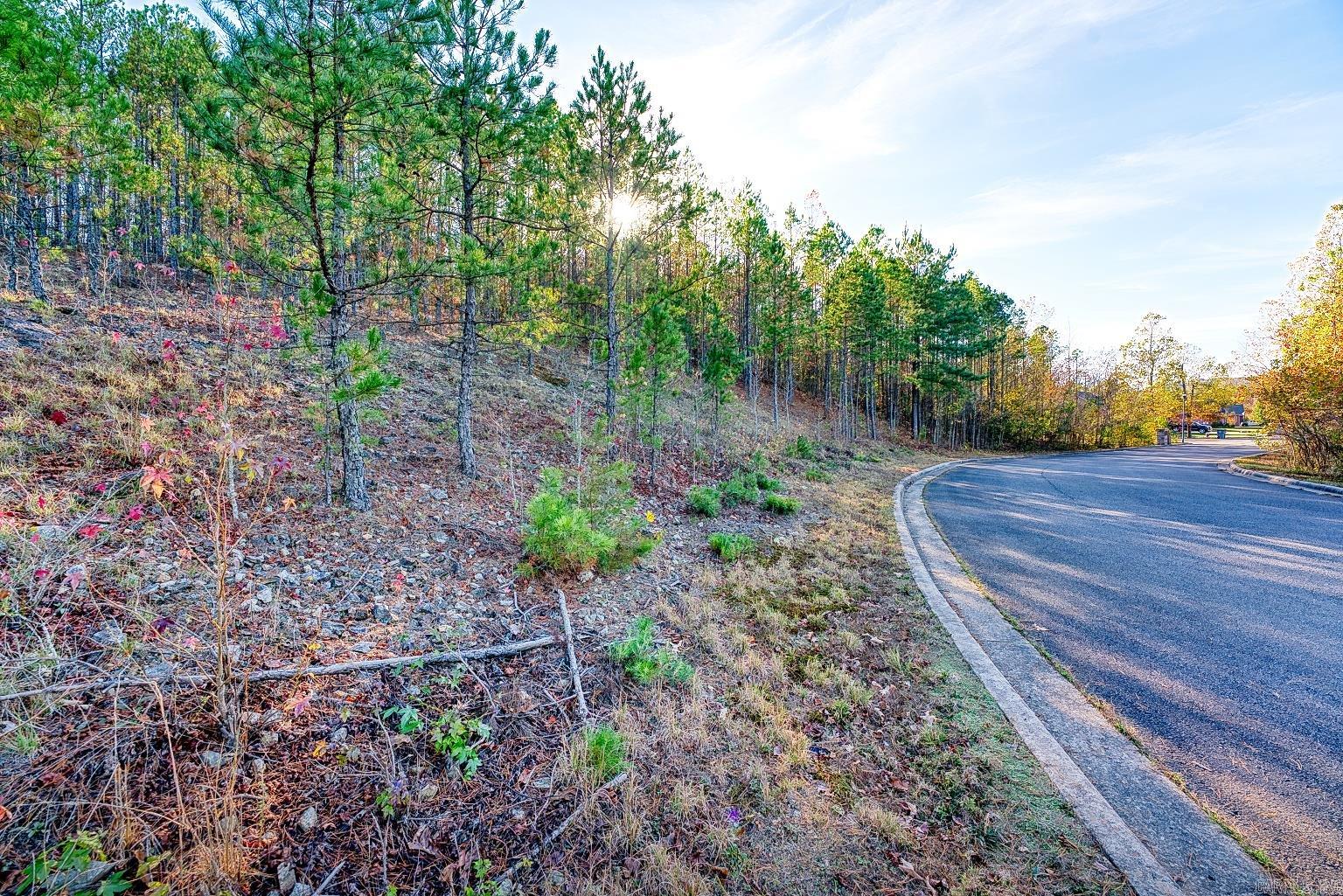 Metes & Bounds - Commercial Sale