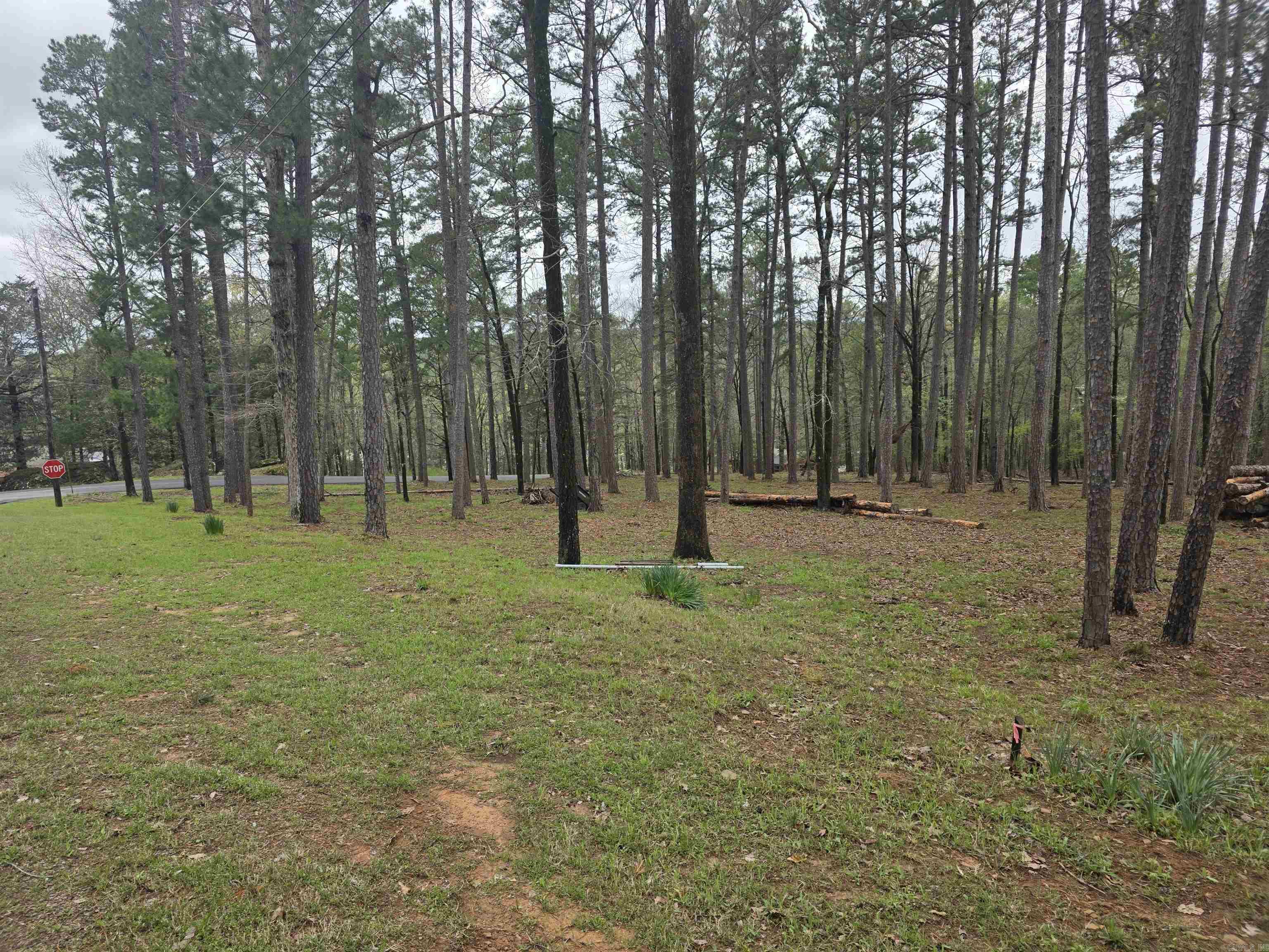 Great corner lot with a partial Lake View. Nice quiet area. Close to Fairfield Bay and and Fairfield Bay Marina. Plus a couple of Golf Courses, 90 miles of ATV Trails and a Heart Center, Cool Pool and a short drive to Clinton. Lot has a new survey.