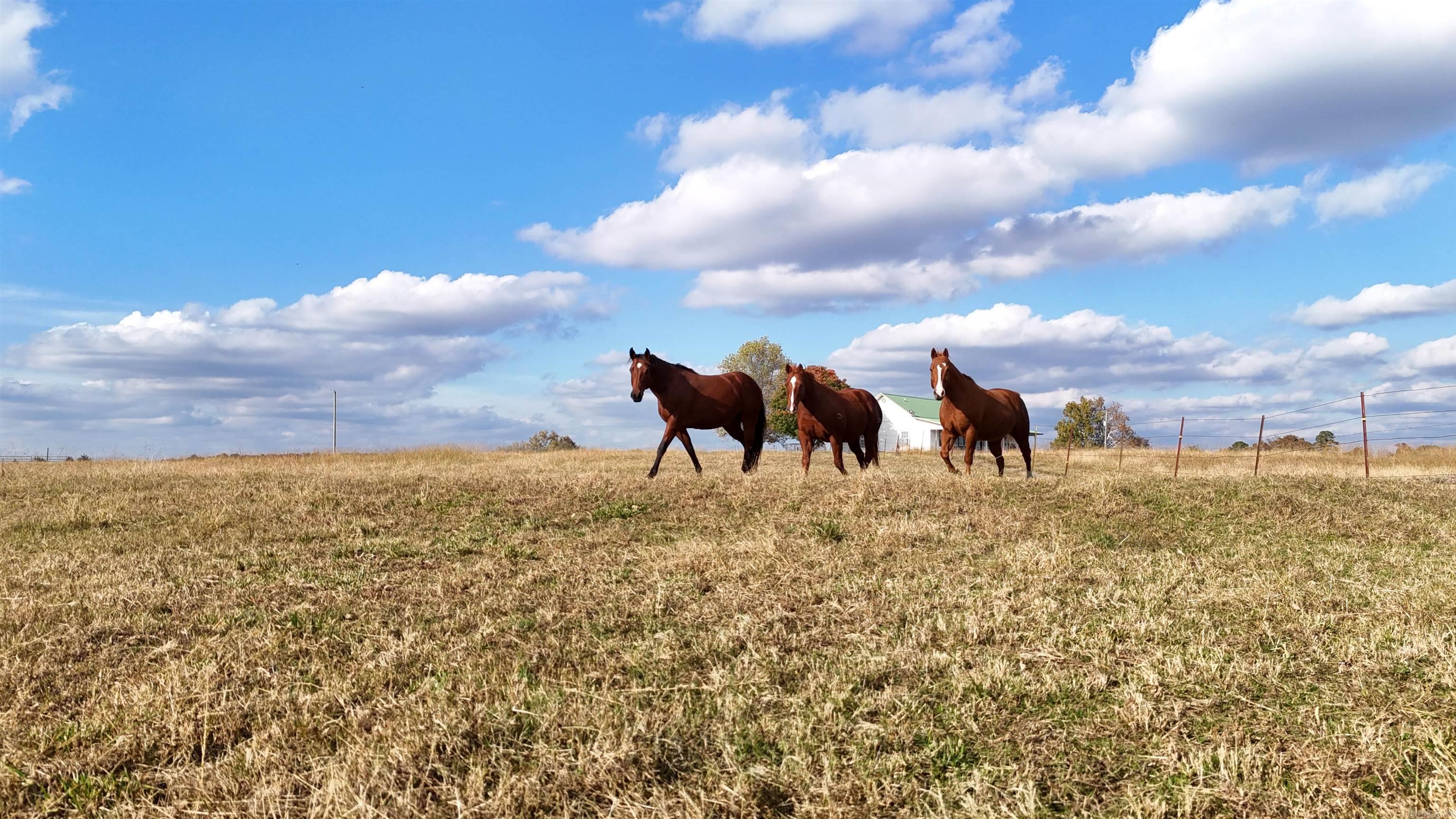 Clinton Rural-Formosa - Residential