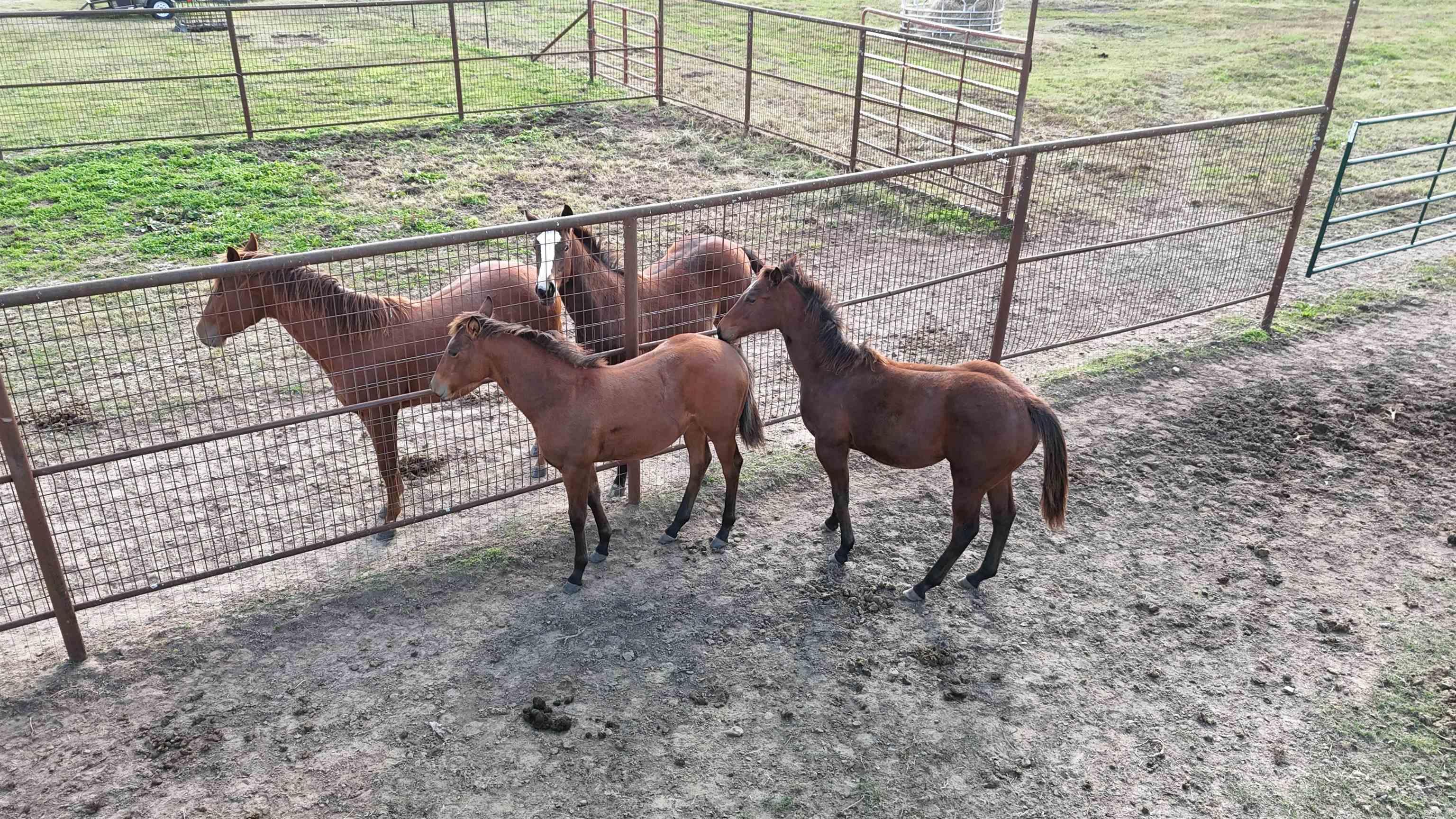 Clinton Rural-Formosa - Residential