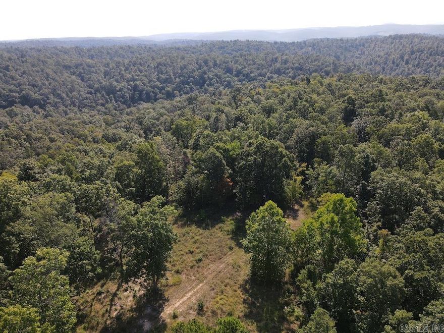 Tucked away in the hills in a private and secluded setting near the Buffalo National River and the famous AR Game & Fish Loafers Glory Wildlife Management Area, sets a stunning hunting property that is sure to impress. If you are looking for that ideal spot to chase wildlife, hike, camp, explore, and more.. you found it! Accessed by deeded easement, electricity is also nearby. This spectacular hardwood parcel has recently been selected and cut with newer trails, logging decks, and some incredible bedding and thicket areas for wildlife. The density of the hardwoods is now much more manageable, and recent work has helped create more cover and security for the already densely populated deer and turkey. This land is loaded with character as well. Numerous areas are complimented by some substantial rock formations, rock outcroppings, small creek beds, and a portion of the land borders the small yet stunning year-round spring. This not only provides some quality water for the wildlife but also adds the ability to have an off-grid water source. The miles of trails are adequate for most 4x4 vehicles, ATVs, or UTVs.