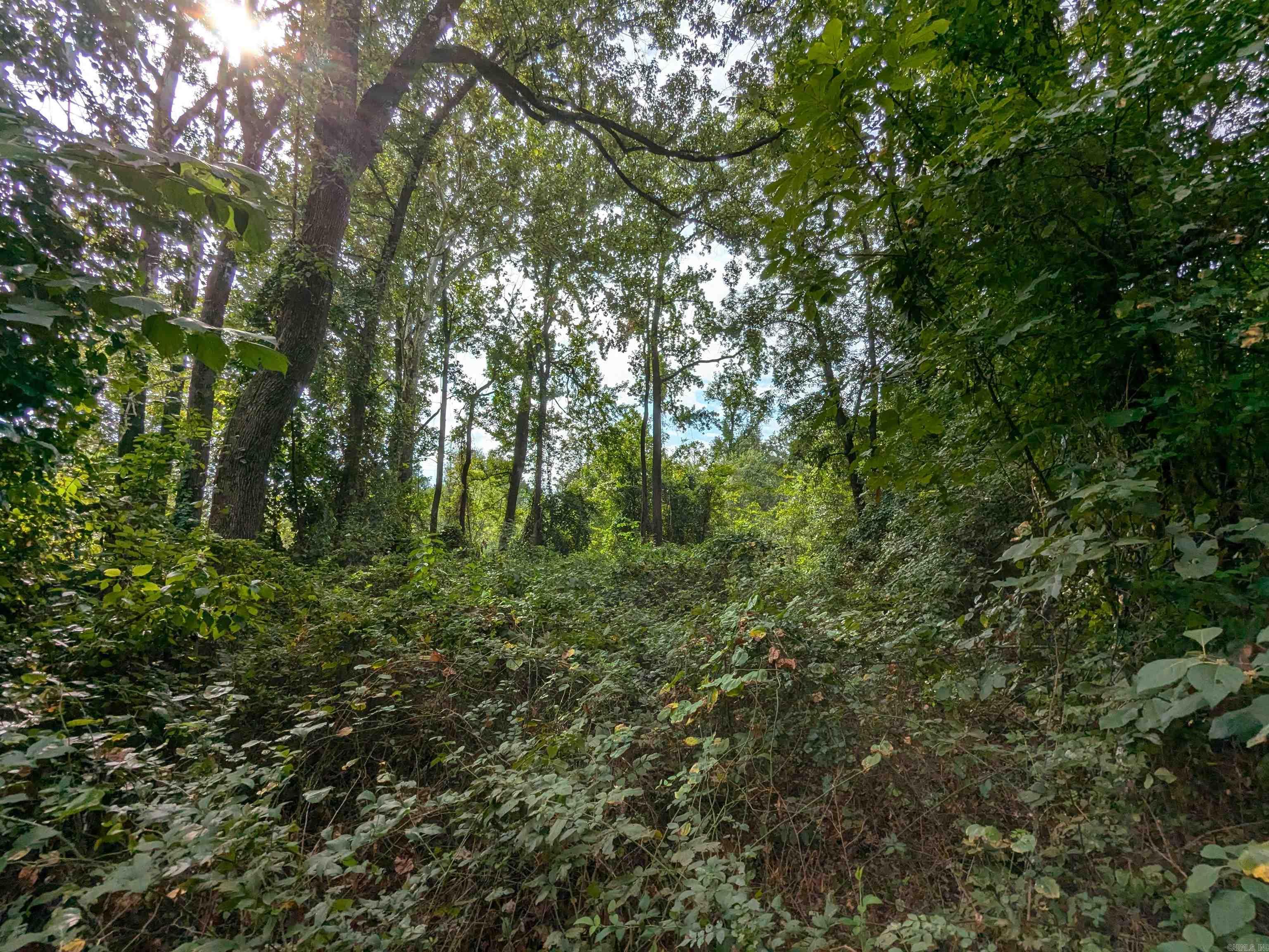 Country - Commercial Sale