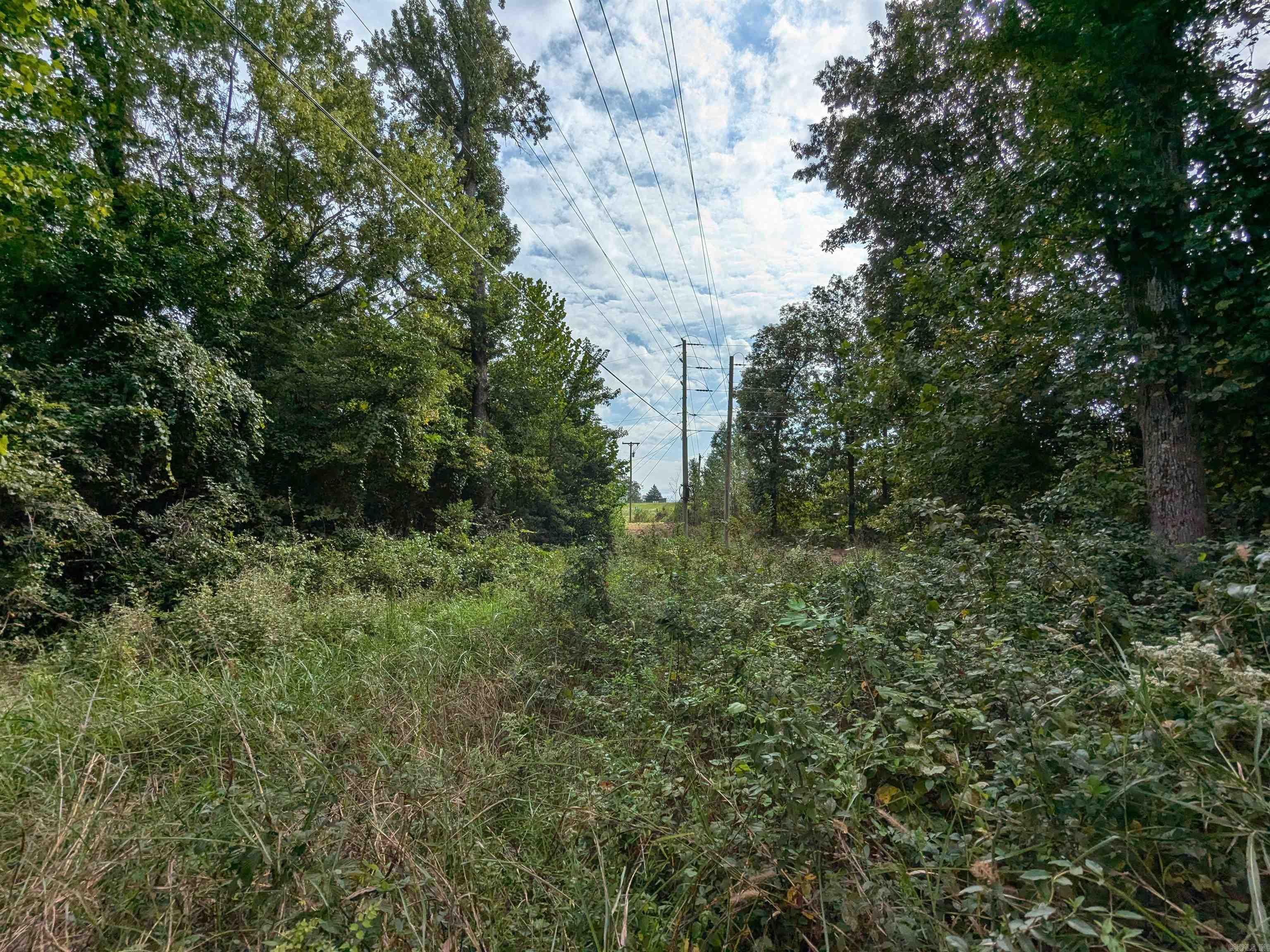 Country - Commercial Sale