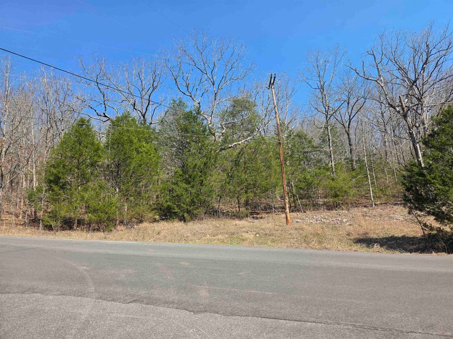 Nice lot with a front to back upward slope. This lot sits up above the road. Lots of trees and lots of nature and wildlife. Come check this lot out, check out the view and see where you want to put your vacation home or your forever home. Retire here and fish 7 different lakes and golf 2 different 18-hole golf courses. Don't forget about the beautiful South Fork River that flows right through the Village. Shop in Old Hardy town and trout fish the Spring River. That's living the Cherokee Village lifestyle.