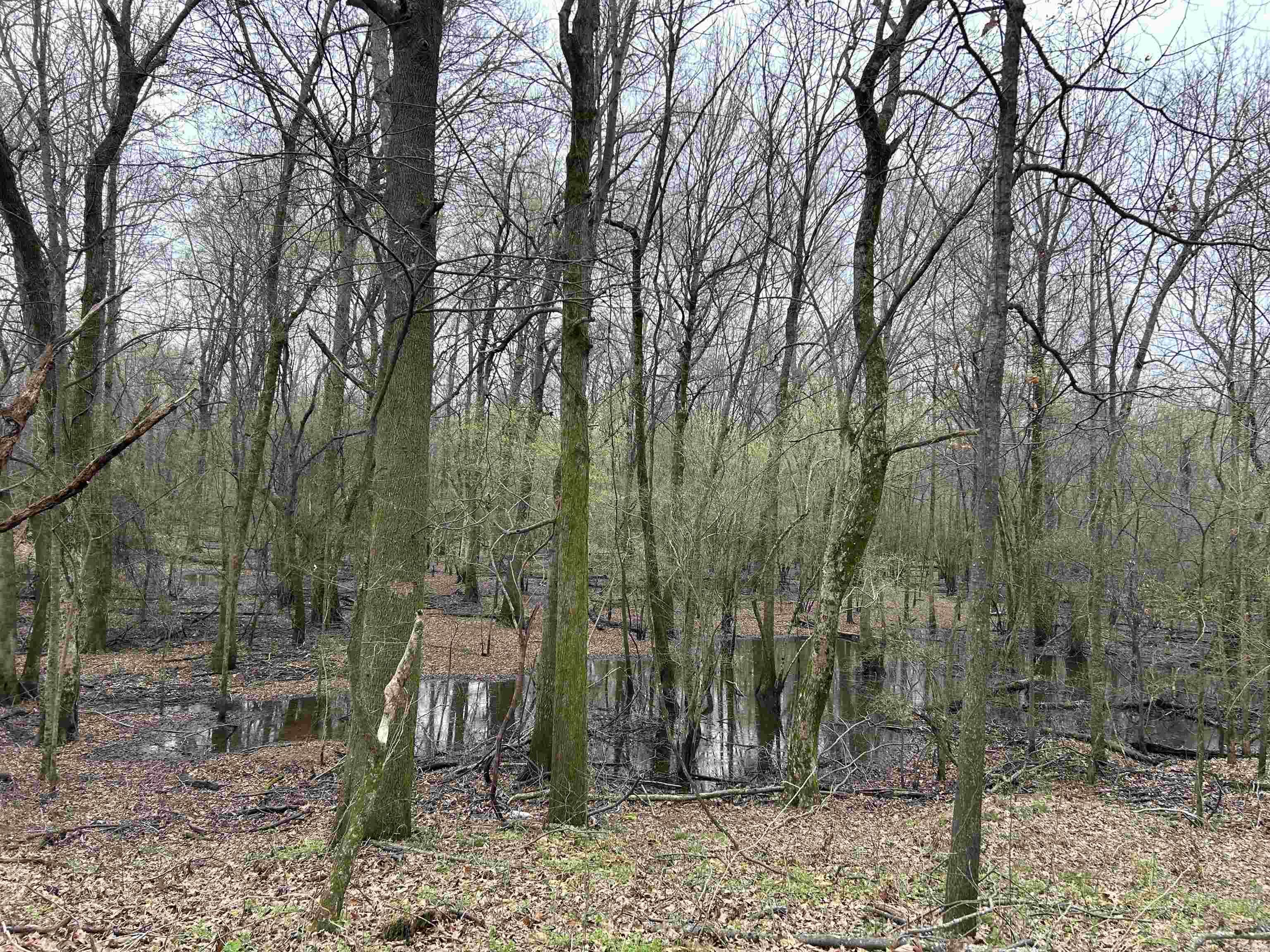 Metes & Bounds - Land