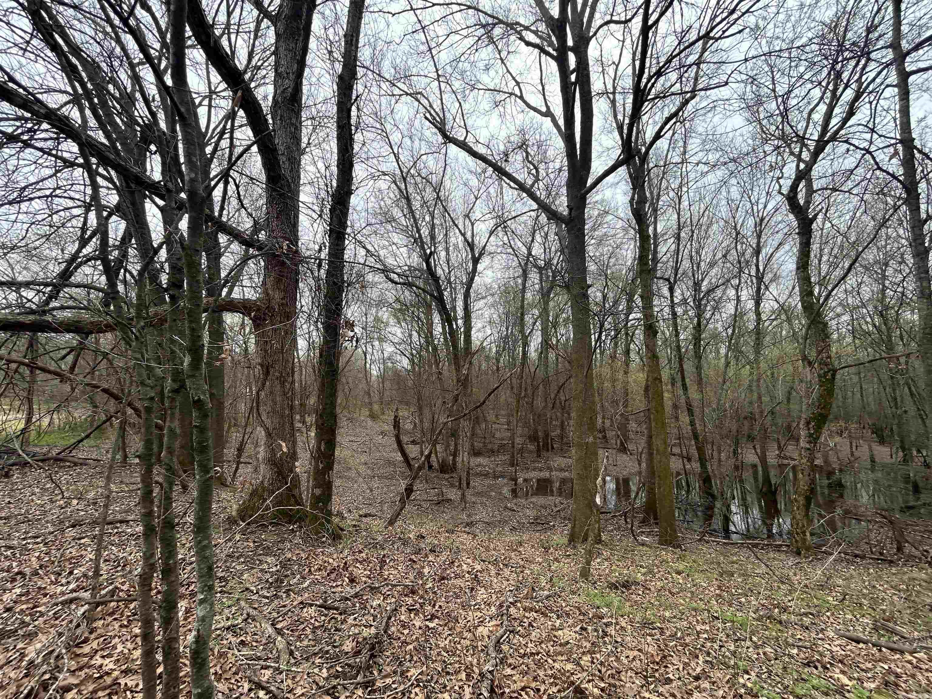 Metes & Bounds - Land