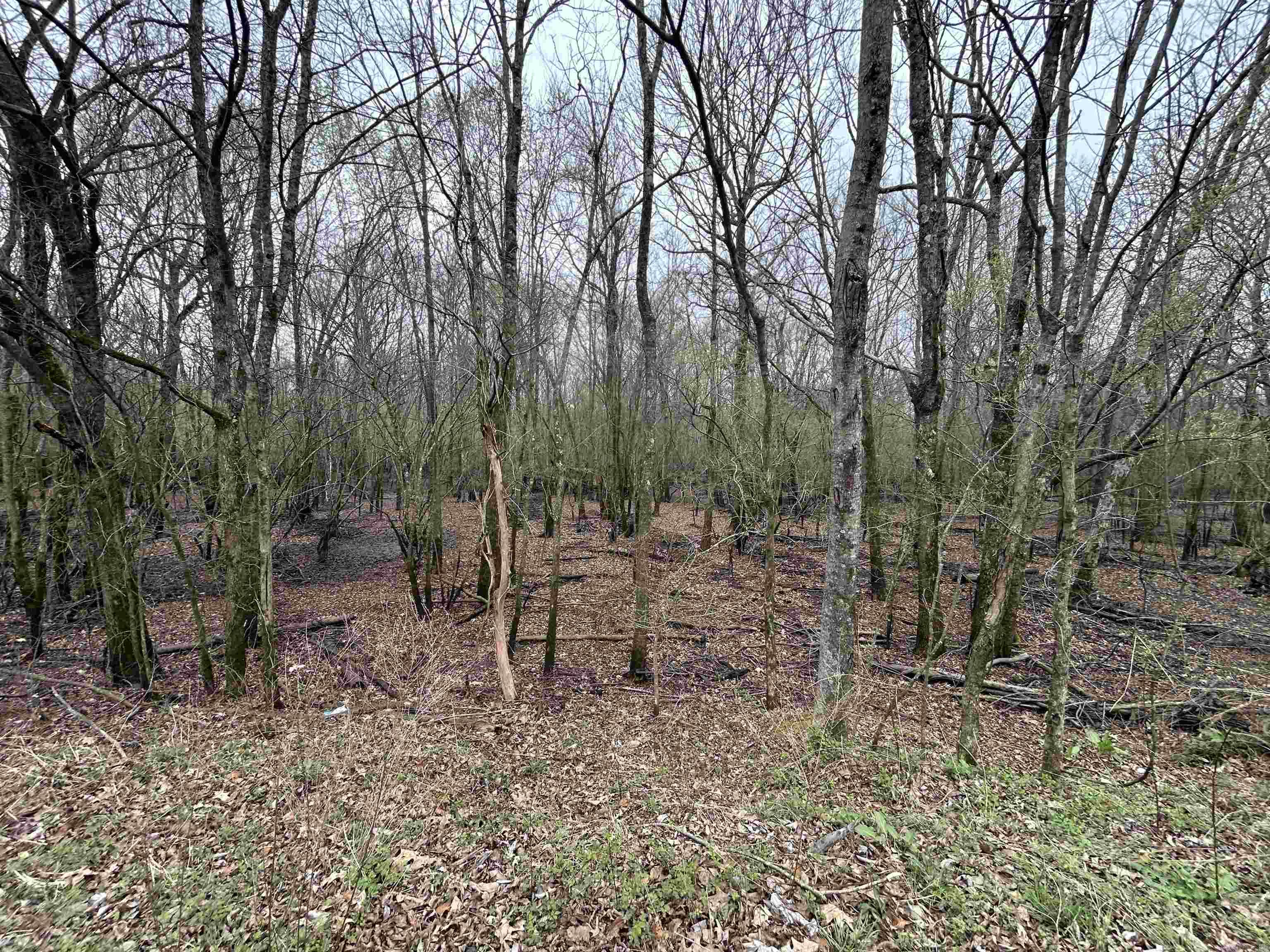 Metes & Bounds - Land