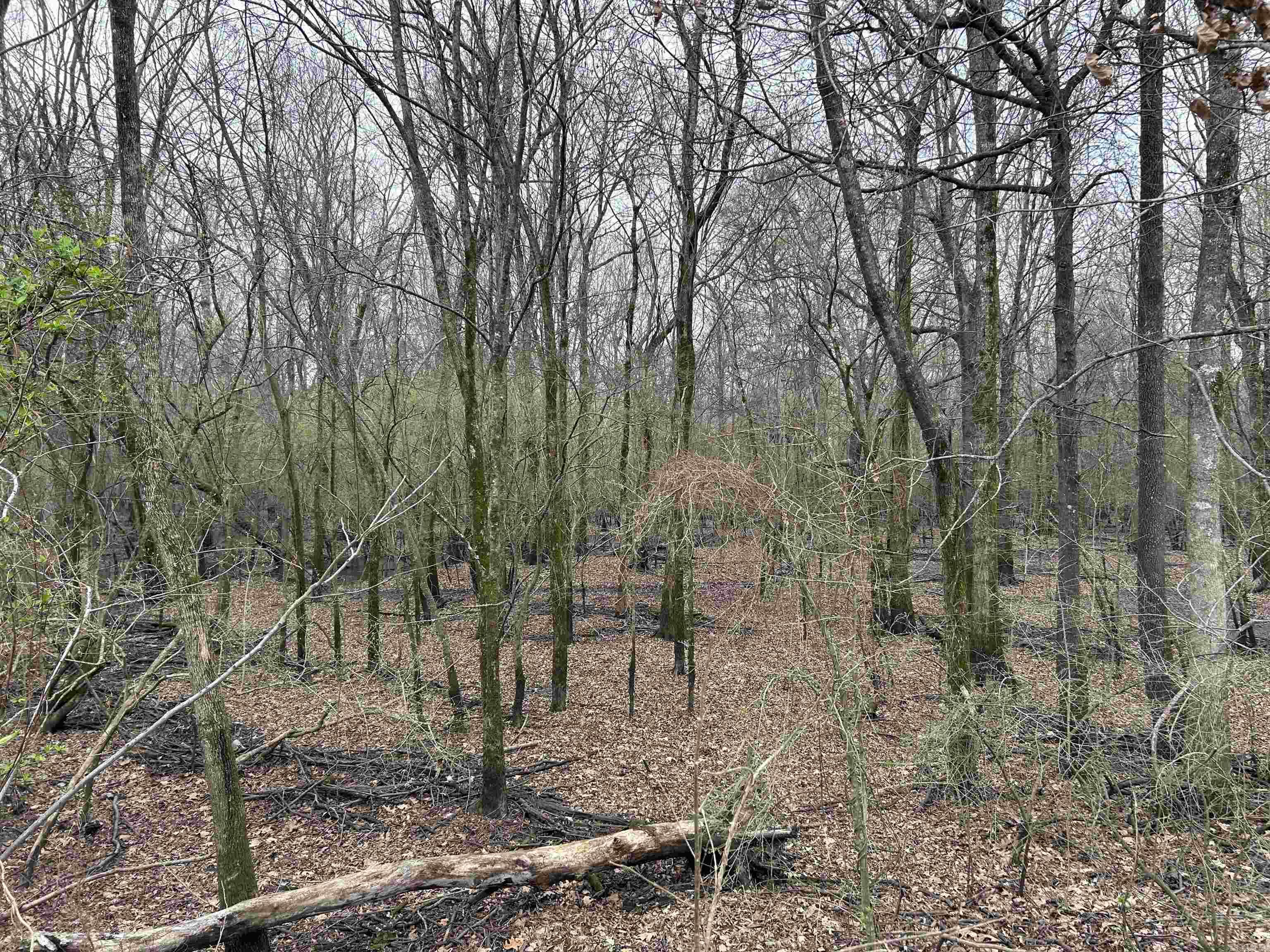 Metes & Bounds - Land