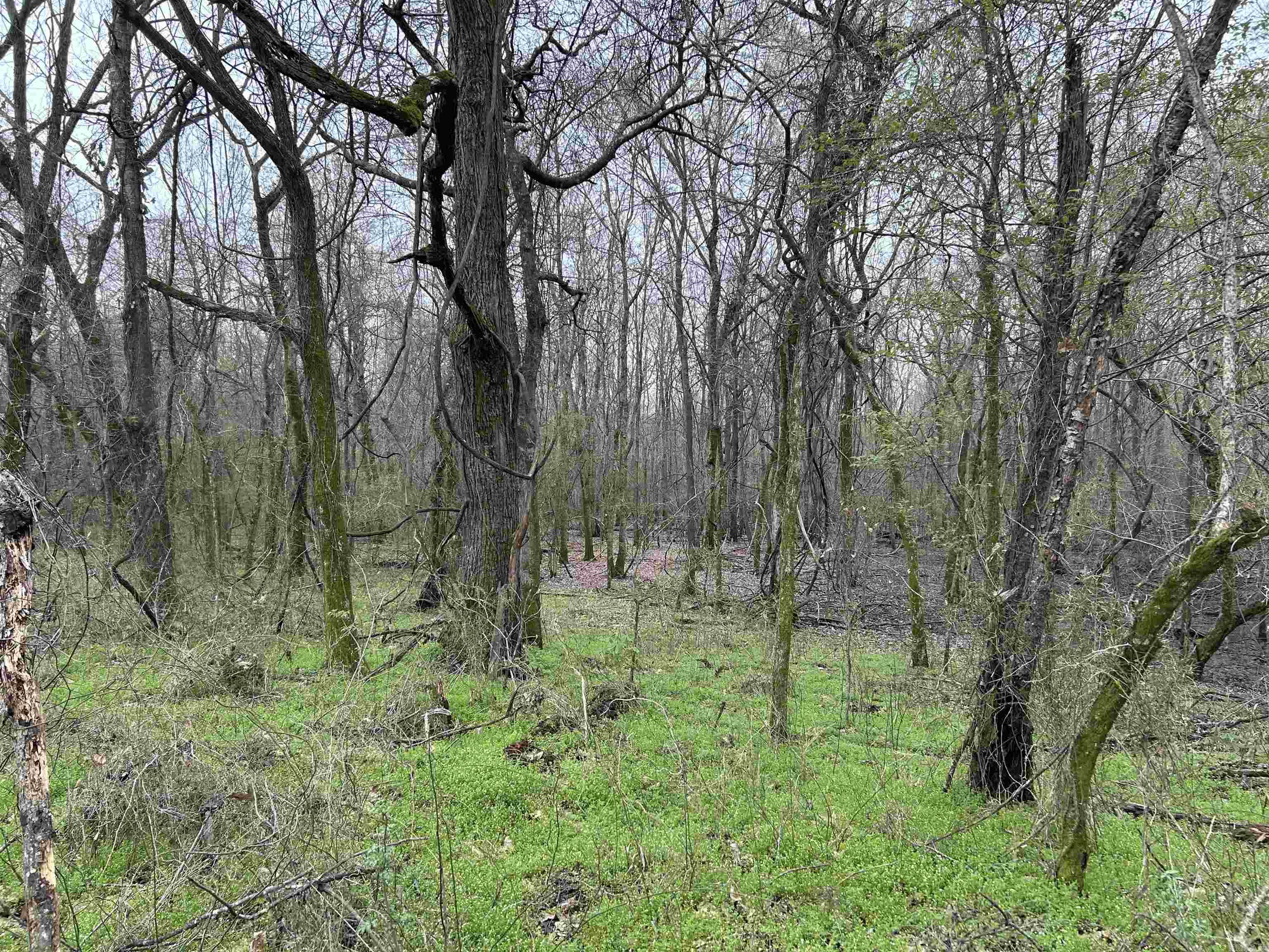 Metes & Bounds - Land