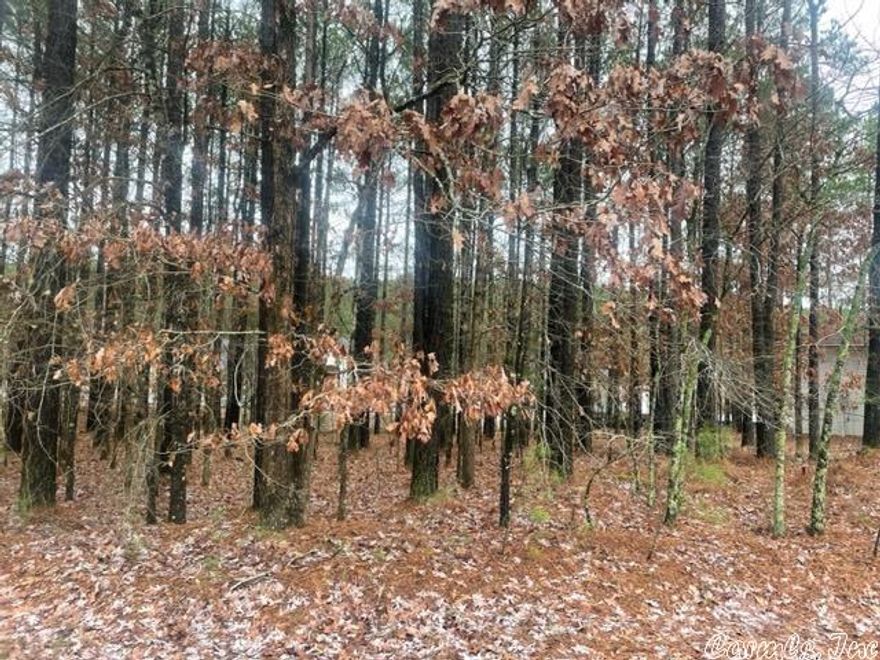 Beautifully treed lot in a great neighbor for your beautiful home.