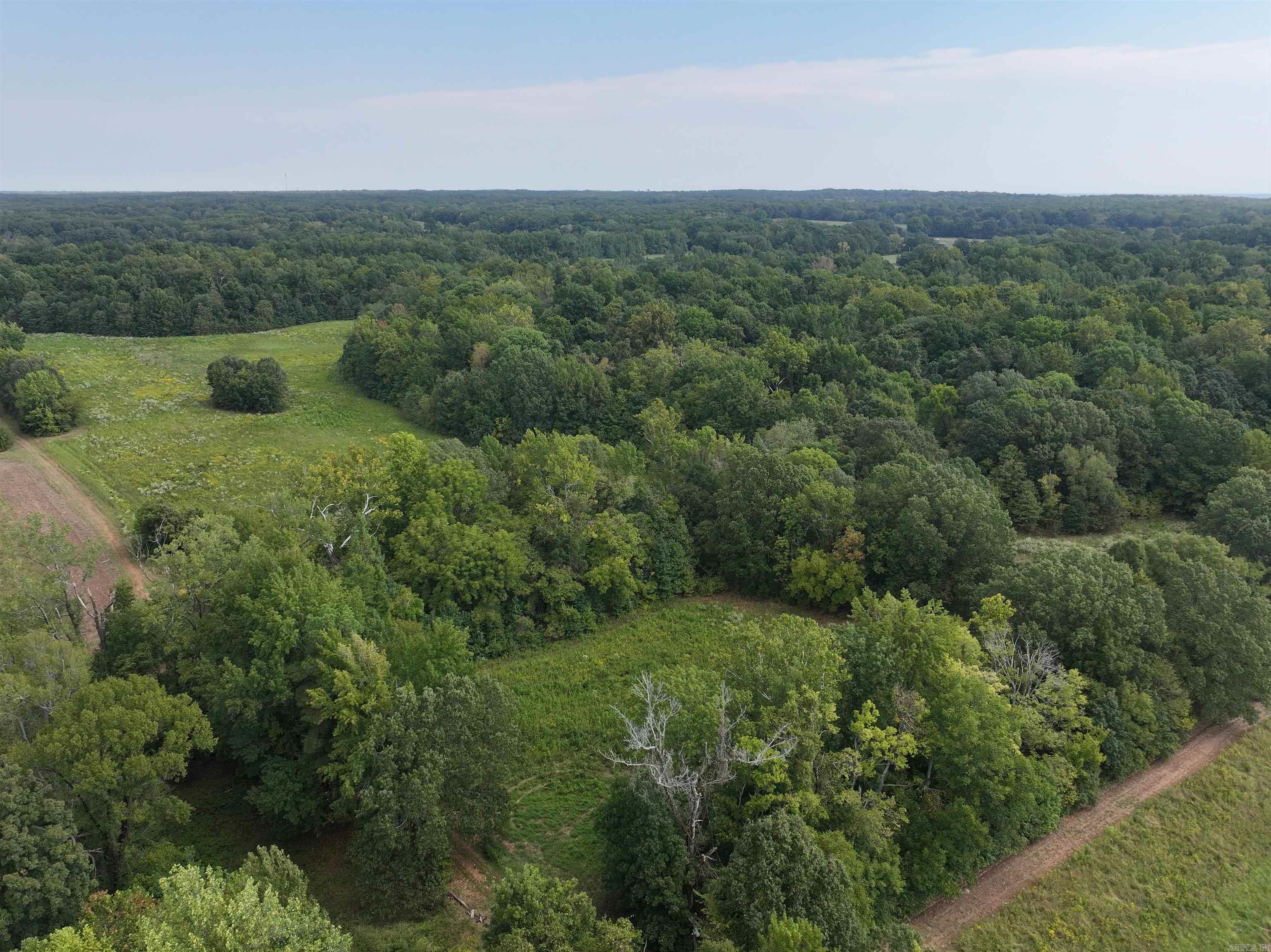 Discover 58 acres of opportunity in the heart of Cross County, Arkansas. This versatile property offers a mix of cleared areas as well as mature and young timber, making it an ideal investment for those seeking recreational land with long-term potential. Hunters will appreciate the abundant wildlife—deer, turkey, and small game thrive in this natural habitat. With its secluded setting and room to roam, it’s the perfect retreat for a weekend getaway, hunting camp, or future home site for someone looking for privacy. Whether you’re looking to harvest timber, enjoy hunting, or simply own your own piece of the Arkansas countryside, this acreage provides plenty of options and potential.