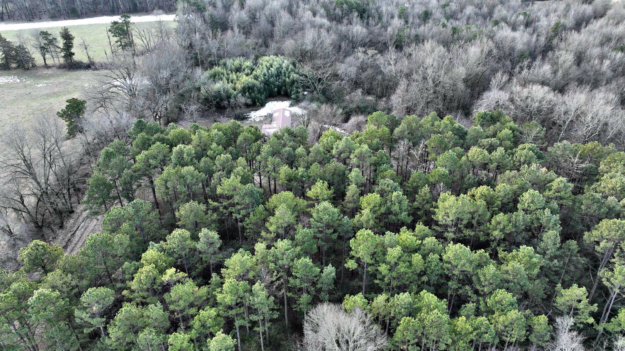 Alder Springs-Rocky - Land