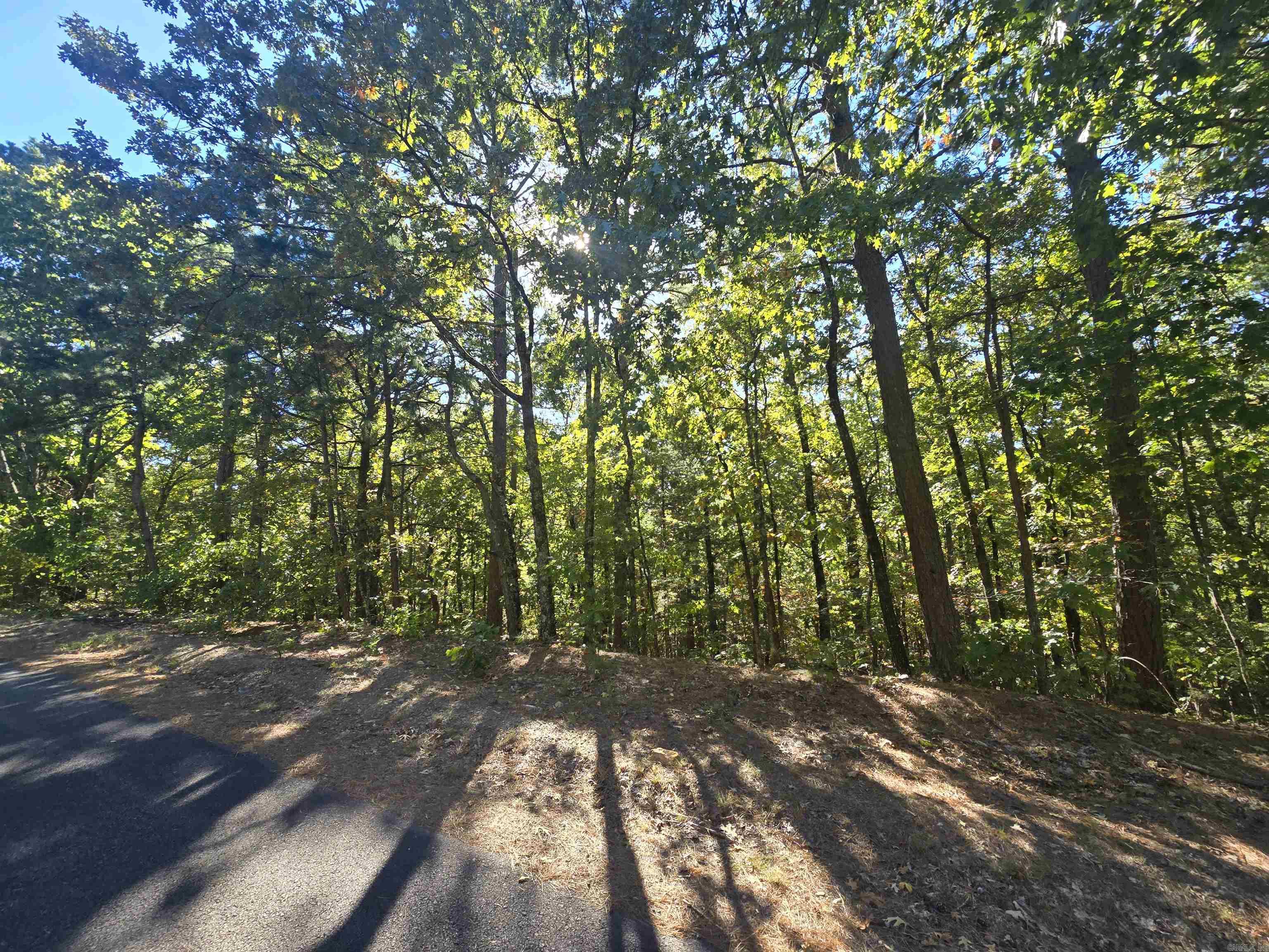 Welcome to market this perfect place to build your forever home or weekend getaway to the lake. Fairfield Bay, offers Call today and lets make this yours