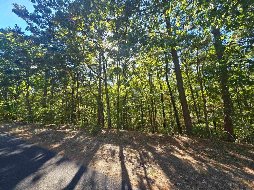 Welcome to market this perfect place to build your forever home or weekend getaway to the lake. Fairfield Bay, offers Call today and lets make this yours
