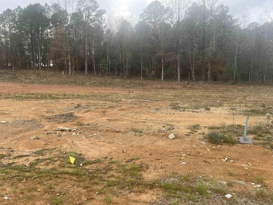 New lots in Creekside Subdivision. Best location in Bryant. Mostly cleared and ready to build. Plat and Bill of Assurance in docs. New street, address will not GPS. Use 6150 Creekwater, Alexander, AR.