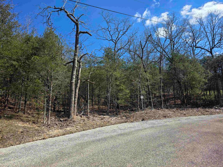 Come see this wonderful wooded lot. You will find it secluded in the woods on the North side of the Village. This lot is located is in an outside corner makeing for a large lot. Only 2 close neighbors .Come pick your building site for your weekend get away cabin, vacation home or your forever home. Ownership of this lot gives you access to all the Cherokee Village aminities, such at the 7 Lakes for fishing, boating and 2 are big enough for skiing, Two 18-Hole golf courses to work on your game, The Thunderbird Center, swimming pool and mini golf. And dont forget that the beautiful Southfork river runs right through Cherokee Village before merging into the Spring River. So you can take a lazy float down the river.