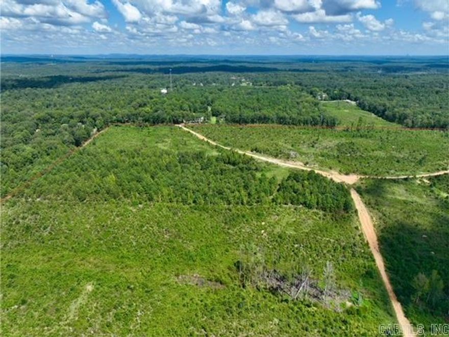 Pristine 10 wooded acres 21 miles south of Little Rock in Saline County. Dirt road. Ready for development or hold for appreciation. Seller will provide survey. Part of a larger parcel.