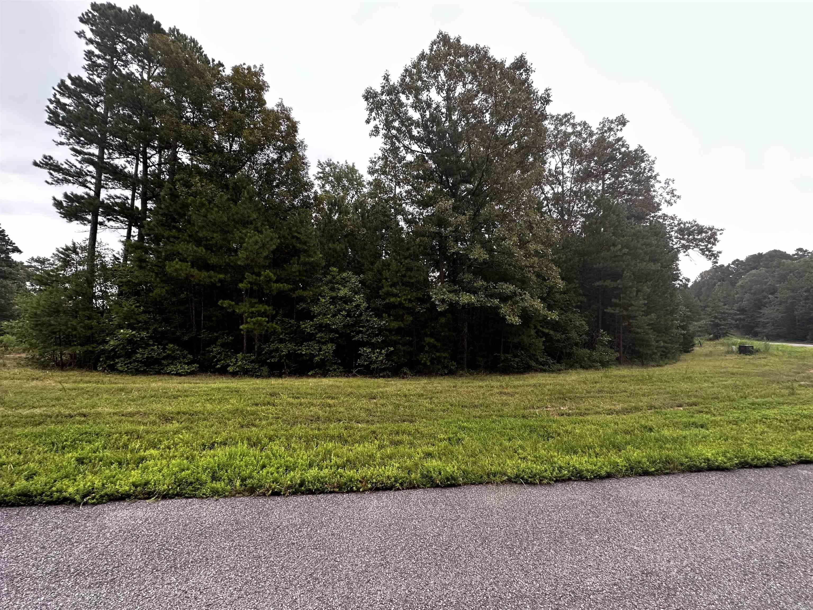 Great Neighborhood to build your dream home at the lake. Undergrounds utilities already in place! Lake pictures taken below the white line. Mineral rights do not convey.