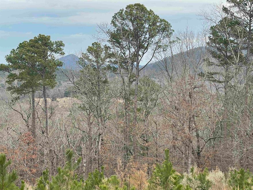 Build your dream home on this beautiful 12 acres with a view of Pinnacle Mountain. Located in gated Ridgefield Estates on private road. There is already a paved circle driveway in front of property where the original home was located that burned down. There is also a small barn on the property. Call listing agent for code to gate.