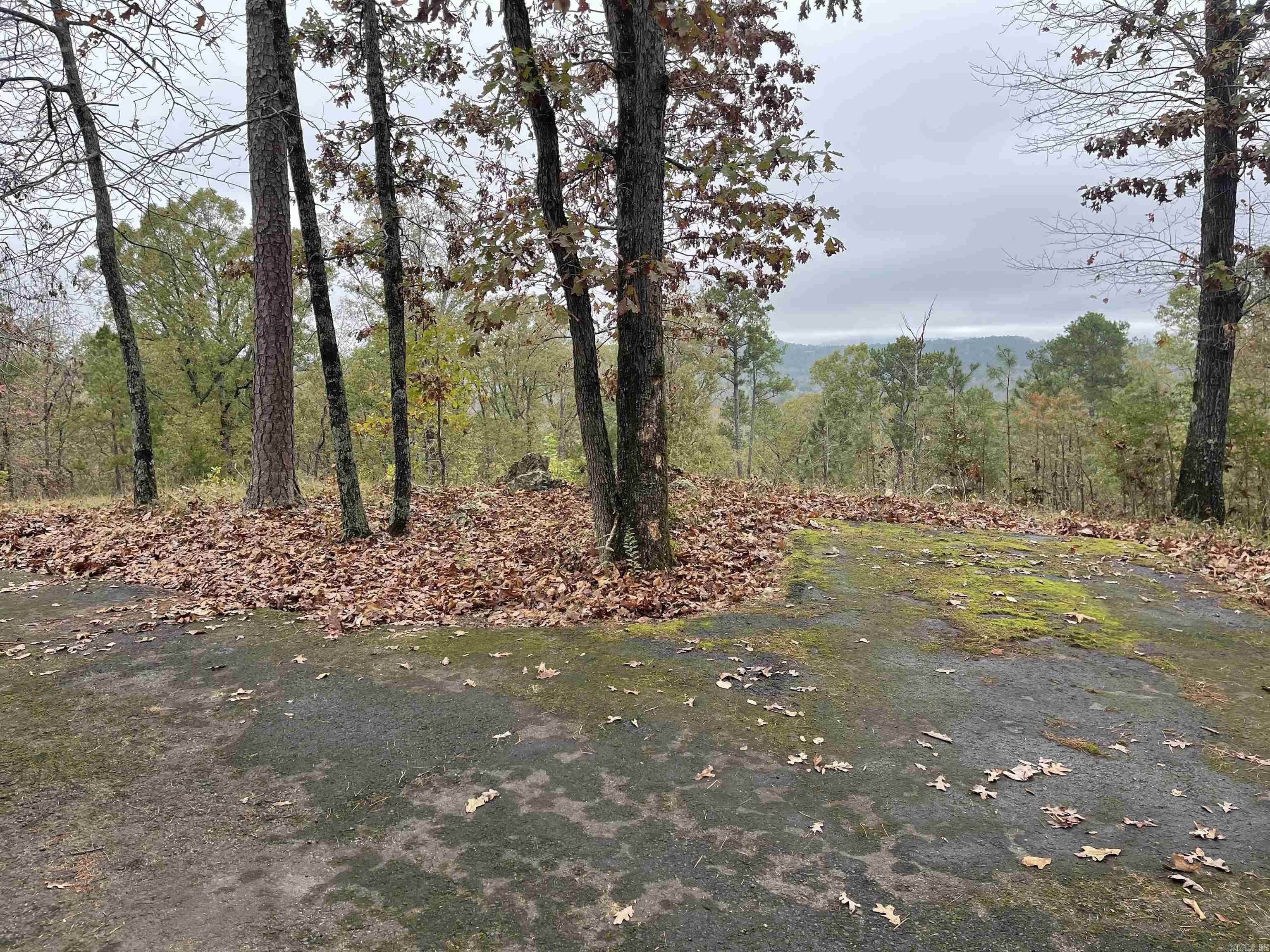 Ridgefield Estates - Land