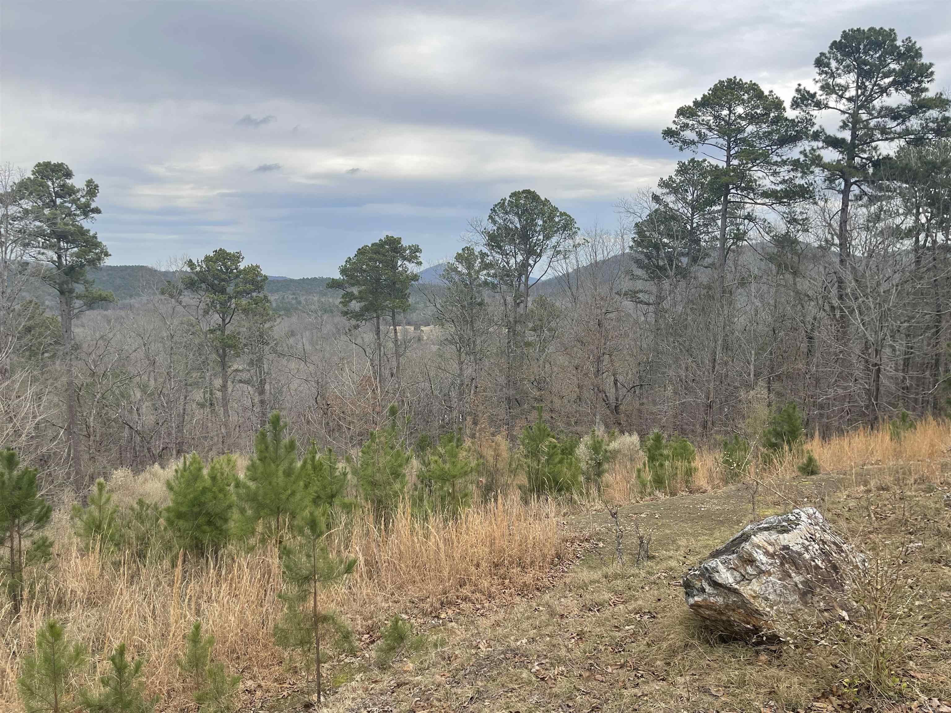 Ridgefield Estates - Land