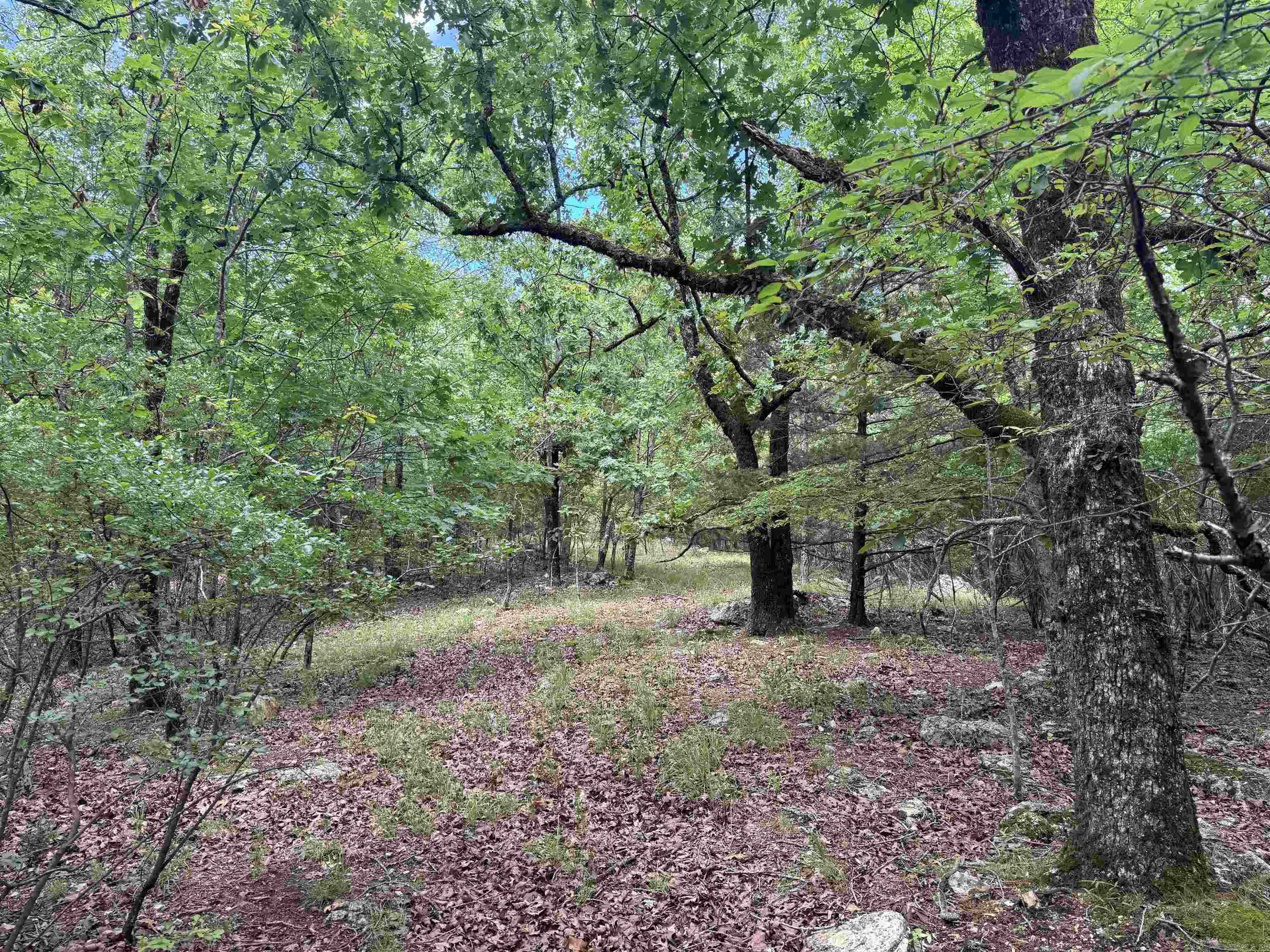 Camilla Springs - Land