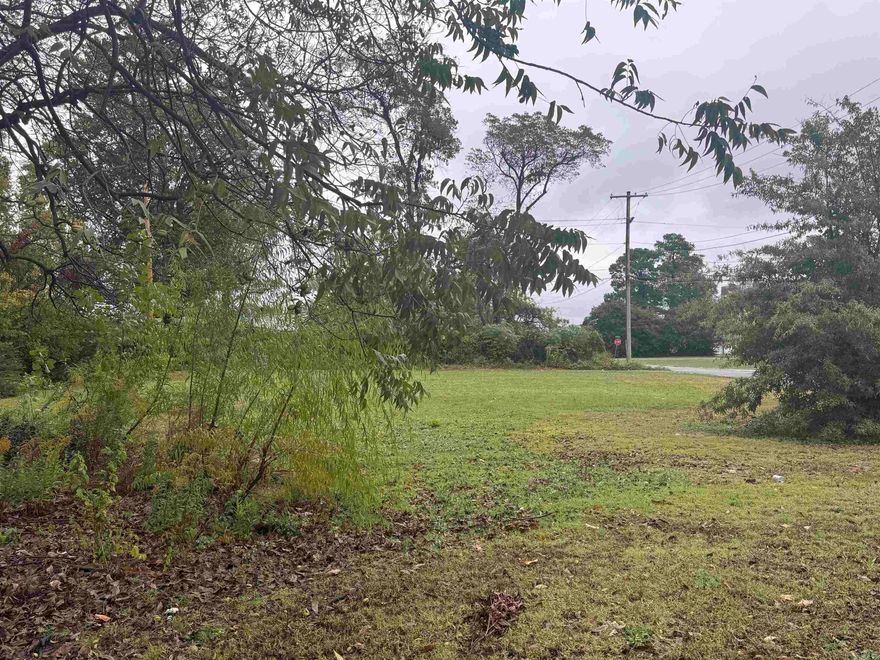 Build your dream home on this fantastic vacant lot in an up-and-coming neighborhood near the Argenta area. Just blocks away from the new fire station that will be soon finished. Only a few miles to restaurants, shopping, and the trolley that will take you to the Little Rock downtown area to more restaurants and shops, all just a short distance over Main street overpass. Don’t miss this opportunity to invest in a growing community and create the perfect home.