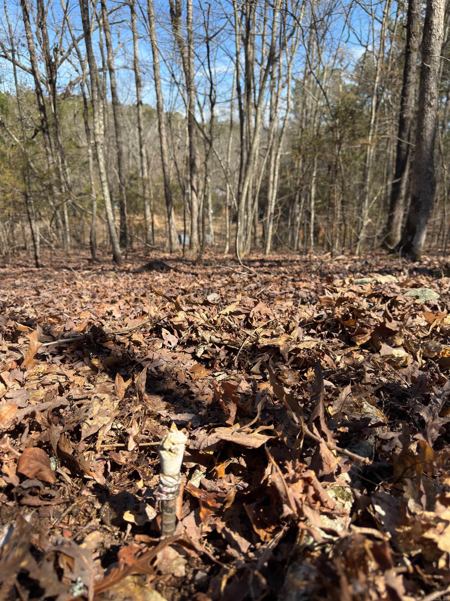 Wooded and partially cleared 3.61 acre lot that has been recently surveyed. Mixture of small and large hardwoods with a wet water stream through the property. Electric available and all other utilities nearby. Tucked away at the end of Joy lane and ready for you to develop to your liking! There is an easement in place to build your new driveway. Also listed with additional acreage and an existing mobile with tons of extras!! MLS #24028013