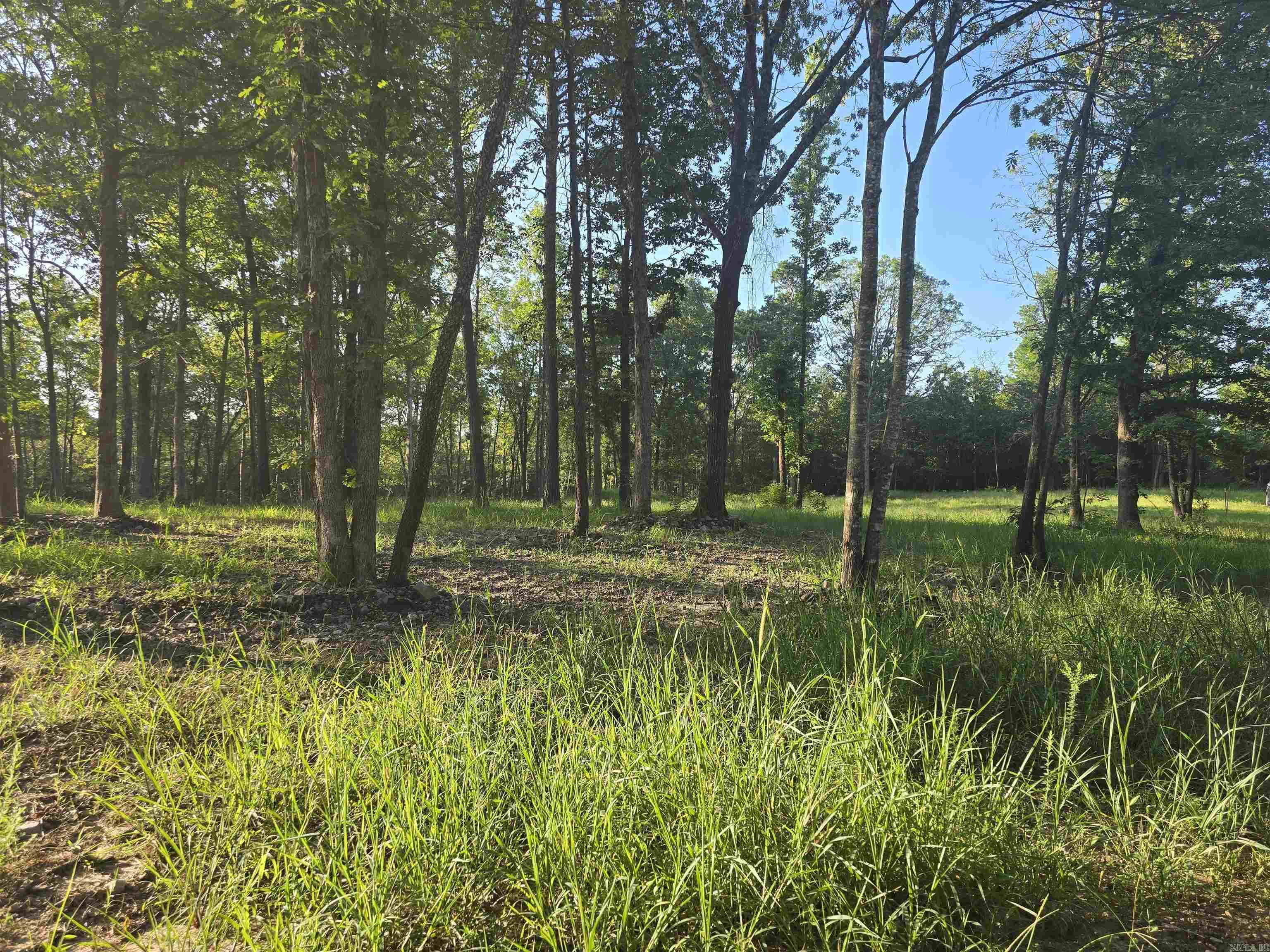 Discover a rare opportunity with this expansive 10-acre property, ideally situated at the corner of Simolin Lane and Polk Road 121. Just 1.3 miles from city limits, this versatile parcel offers the perfect blend of rural tranquility and convenient access. Approximately 3 acres of the property have been cleared, providing an immediate head start for your vision, whether it's building your dream home, establishing a mini-farm, or developing a private retreat. Essential utilities are already in place, with electrical service and Freedom Water connected, significantly simplifying the development process. Adding to its unique appeal, the property features an old well (condition unknown) and a picturesque wet weather creek that meanders through the landscape, enhancing its natural beauty and potential for wildlife. This is an exceptional chance to own a substantial piece of land with valuable existing infrastructure and charming natural features.