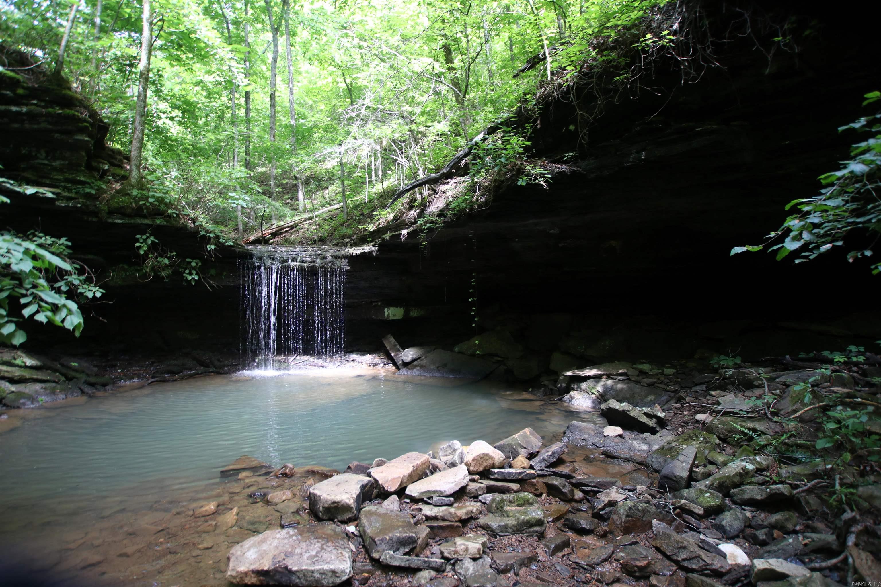 - 40 +/- acres of timber - 24x24 cabin w/12x24 loft - Mature hardwood mix - Heavy mast producing trees - Deeded easement access - Great topography - All weather creek - Beautiful rock wall - Numerous waterfalls - 27 miles to Clinton - 15 miles to Leslie