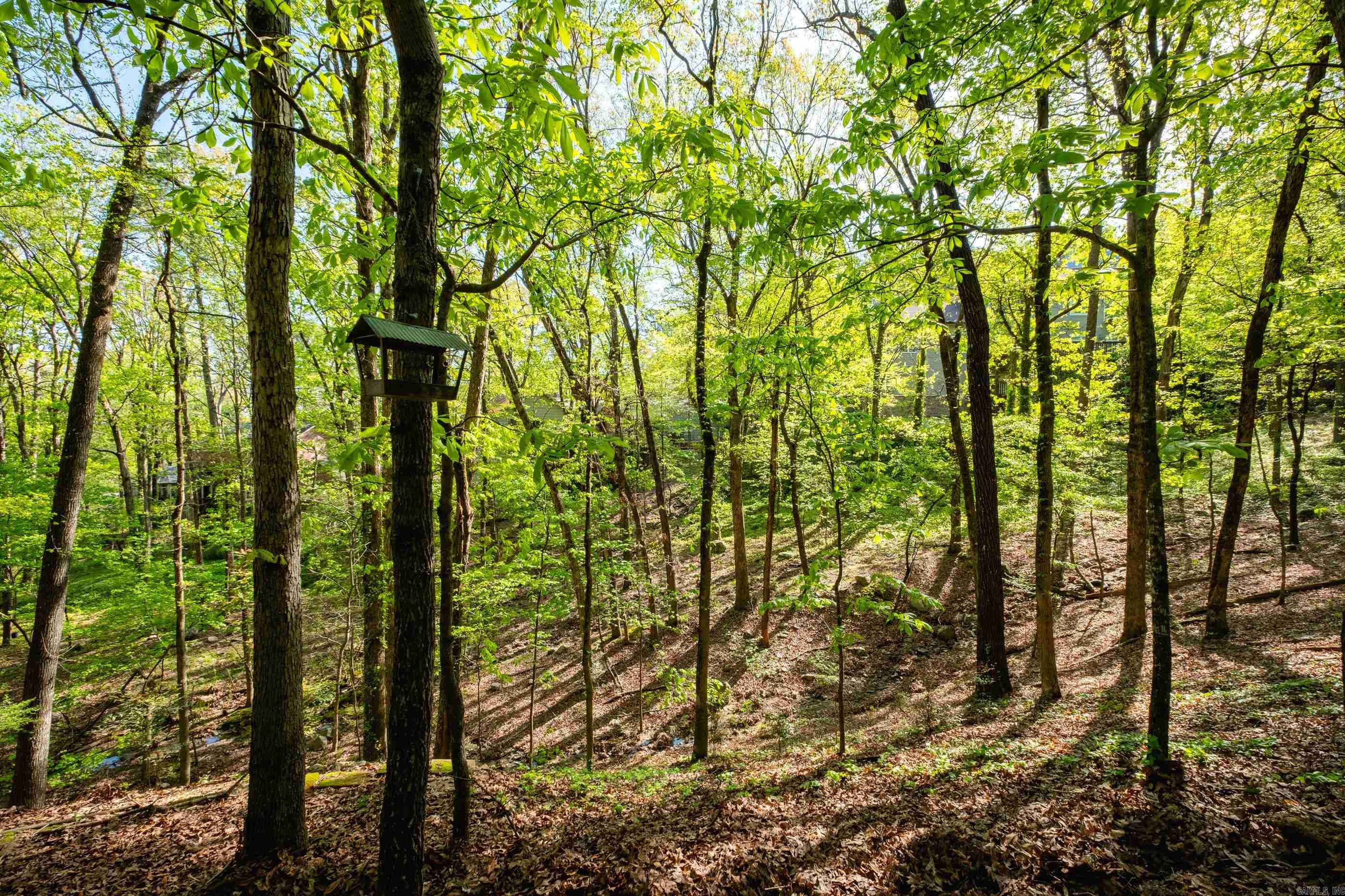 HILLSBOROUGH - Residential