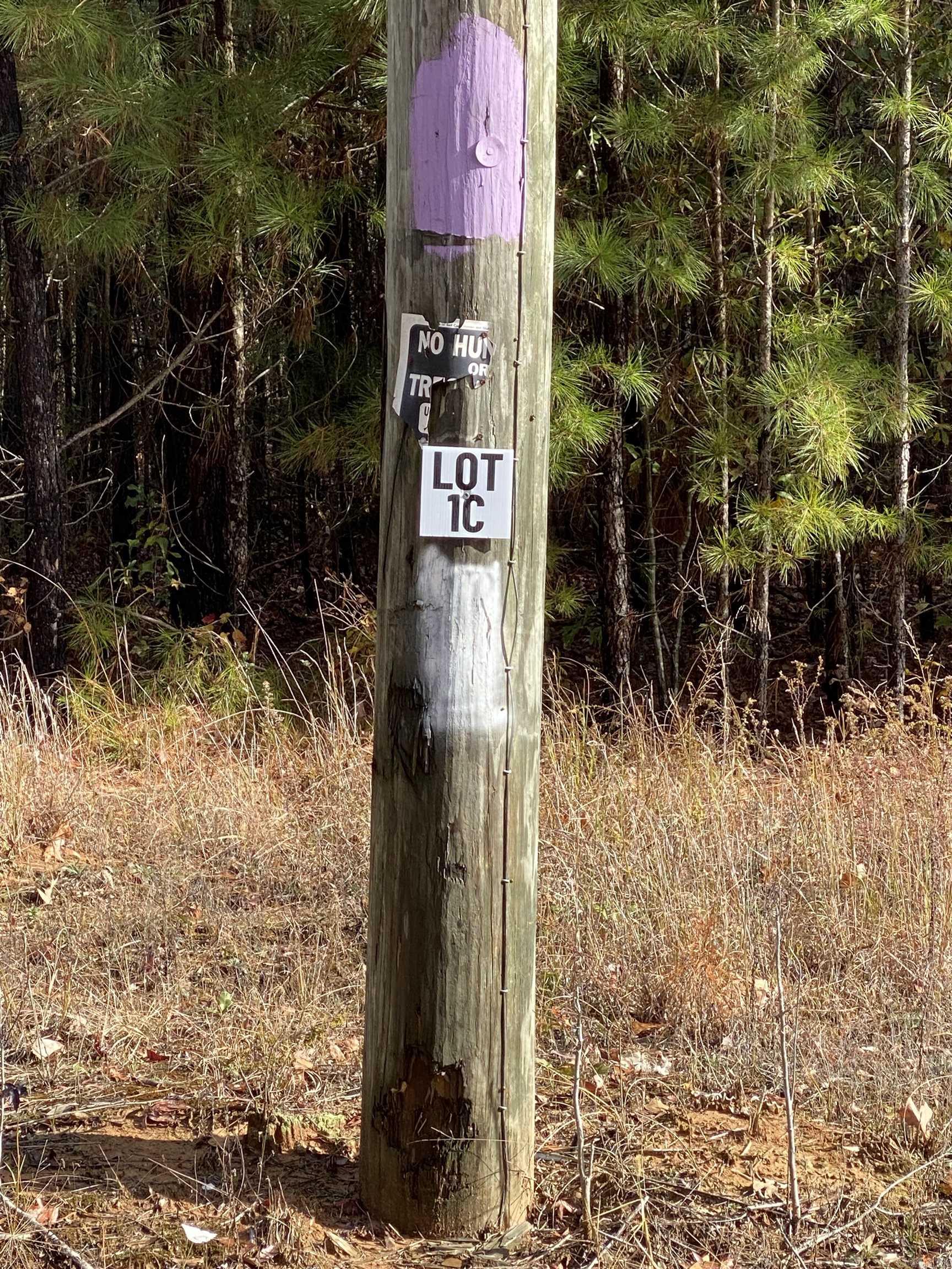 Lot 1C is an approx 10-Acre Lot located in Tract C. Tract C begins on Hwy 89. Acreage is wooded and fronts Hwy 89. Lot 1C is 1 of 4 lots available for purchase in Tract C. Grand Prairie Water and First Electric at Road. Fantastic opportunity for a spacious home place, duplexes, triplexes, and/or quadplexes. Take a drive out to see this lot or the other lots listed. See Agent Remarks.